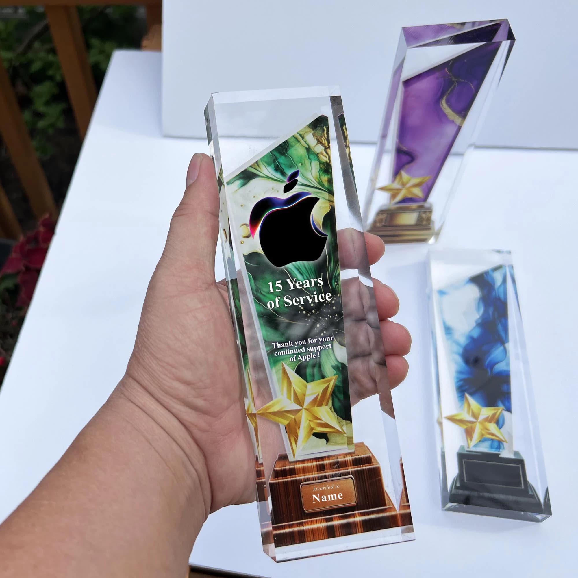 Customizable Star Service Award Trophy Custom Trophy, Add Logo, Employee Award, Achievement Award, Business Gift, Acrylic Trophy