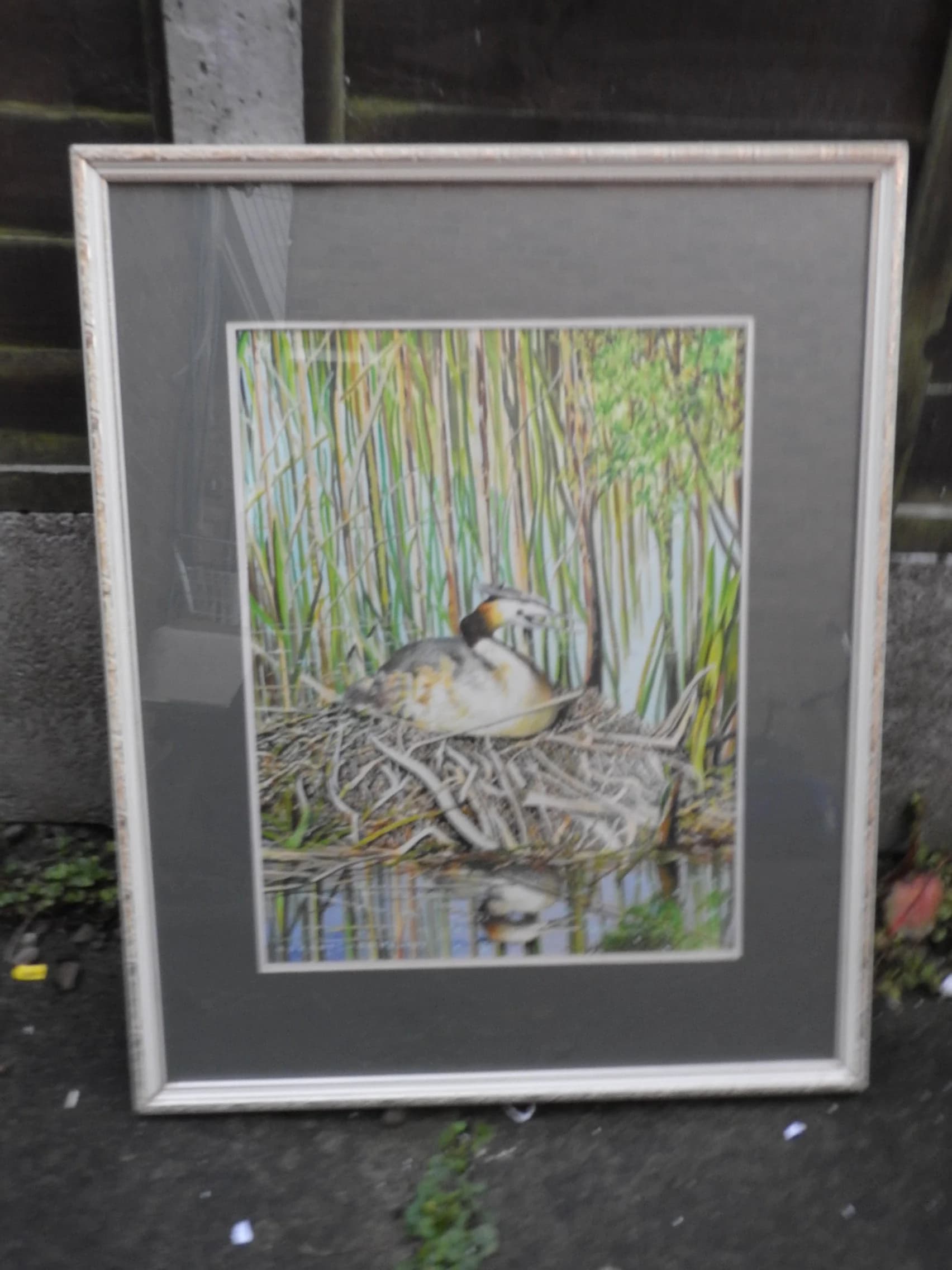 Vintage Robert Jones Watercolor Painting, Great Crested Grebe, Framed