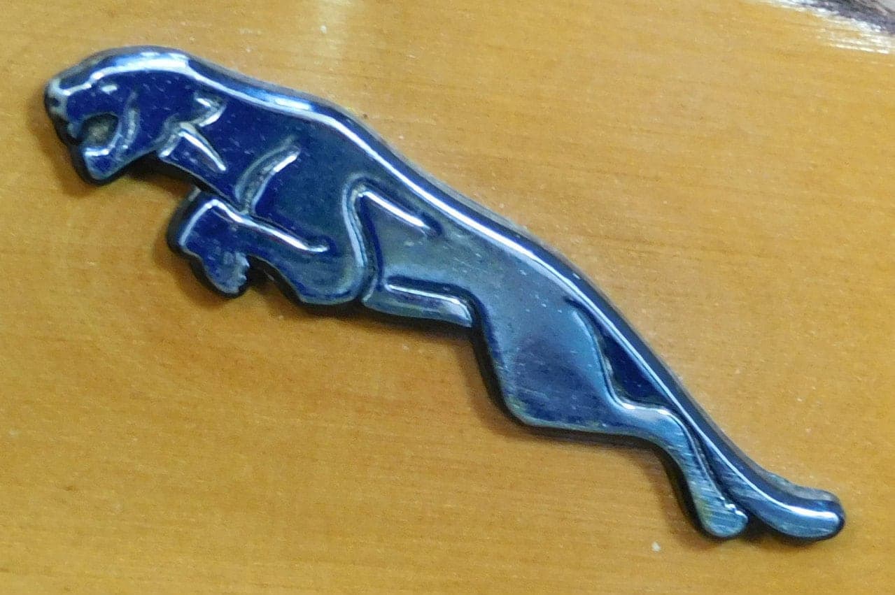 Jaguar car mascot on plaque, wall hanging,man cave, office desk - image 4