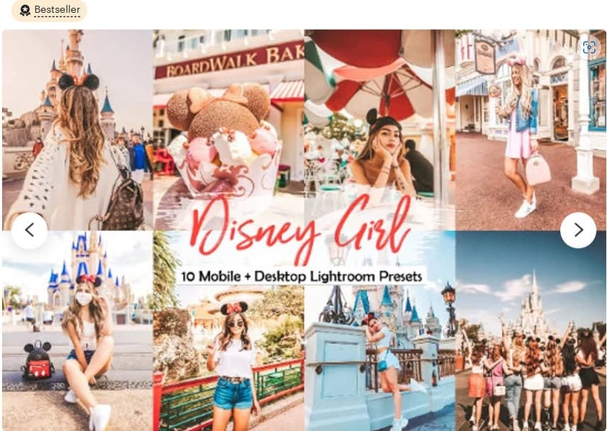 Disney Land Presets | Mobile & Desktop Lightroom Presets