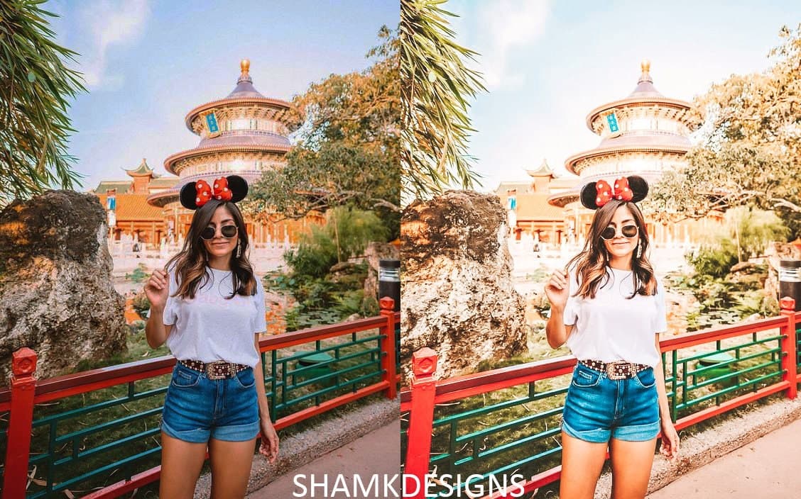 Disney Land Presets | Mobile & Desktop Lightroom Presets - image 5
