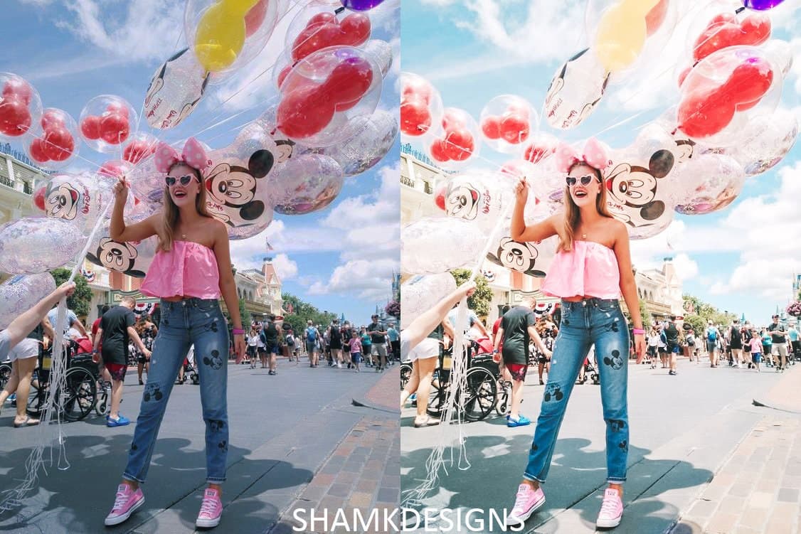 Disney Land Presets | Mobile & Desktop Lightroom Presets - image 3