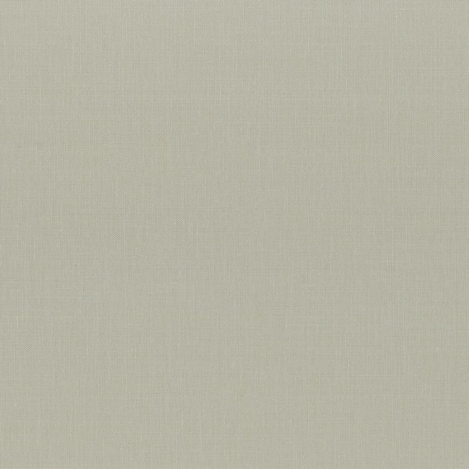 Painters Palette Ash by Paintbrush Studios 121-105 Fabric sold in Half Yard increments