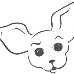 PinkChihuahuaFabric