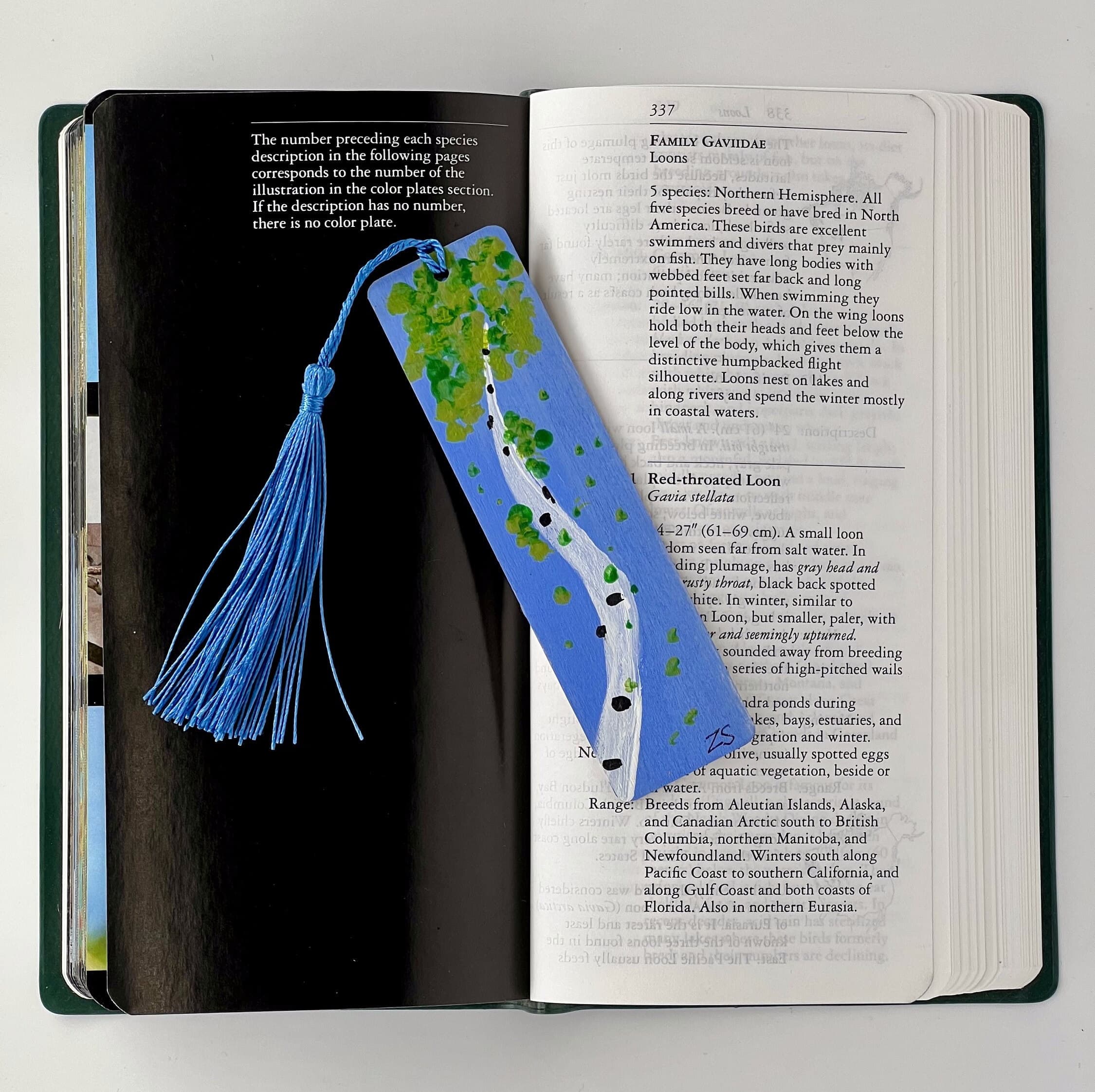 Wooden Bookmark - Birch tree (blue/green) | Bookish Gifts for Readers | Handmade Bookmark | Book Club | Book Lovers