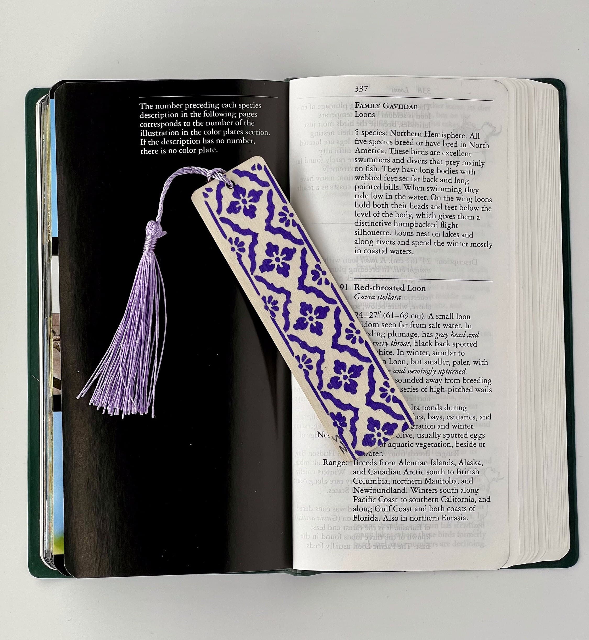 Wooden hand painted handmade bookmark for readers, book lovers, book club