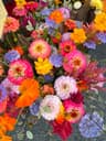 BloomStudioNY