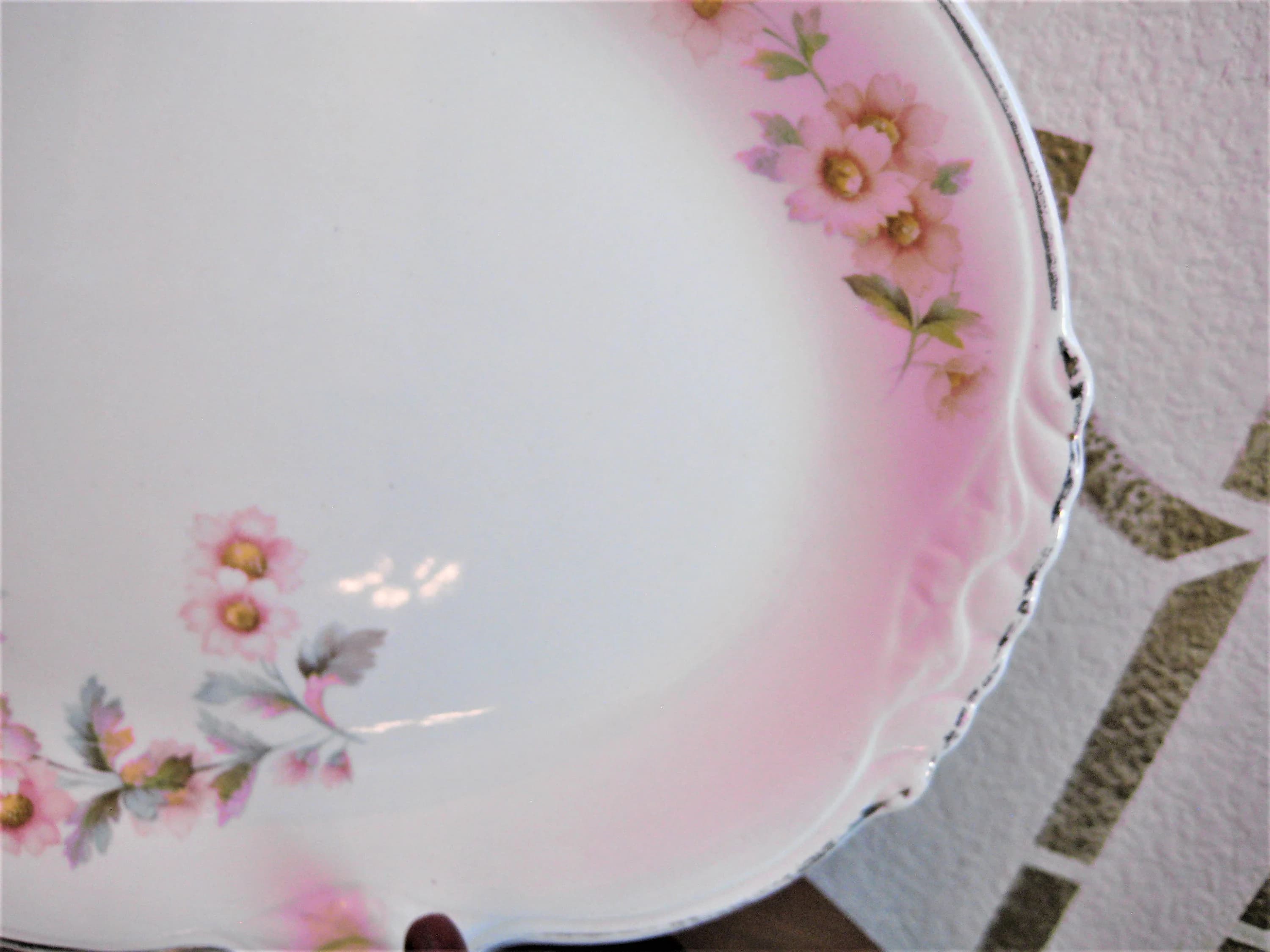 Homer Laughlin Platter, Virginia Rose Pattern, Platinum Trim, Vintage - image 4