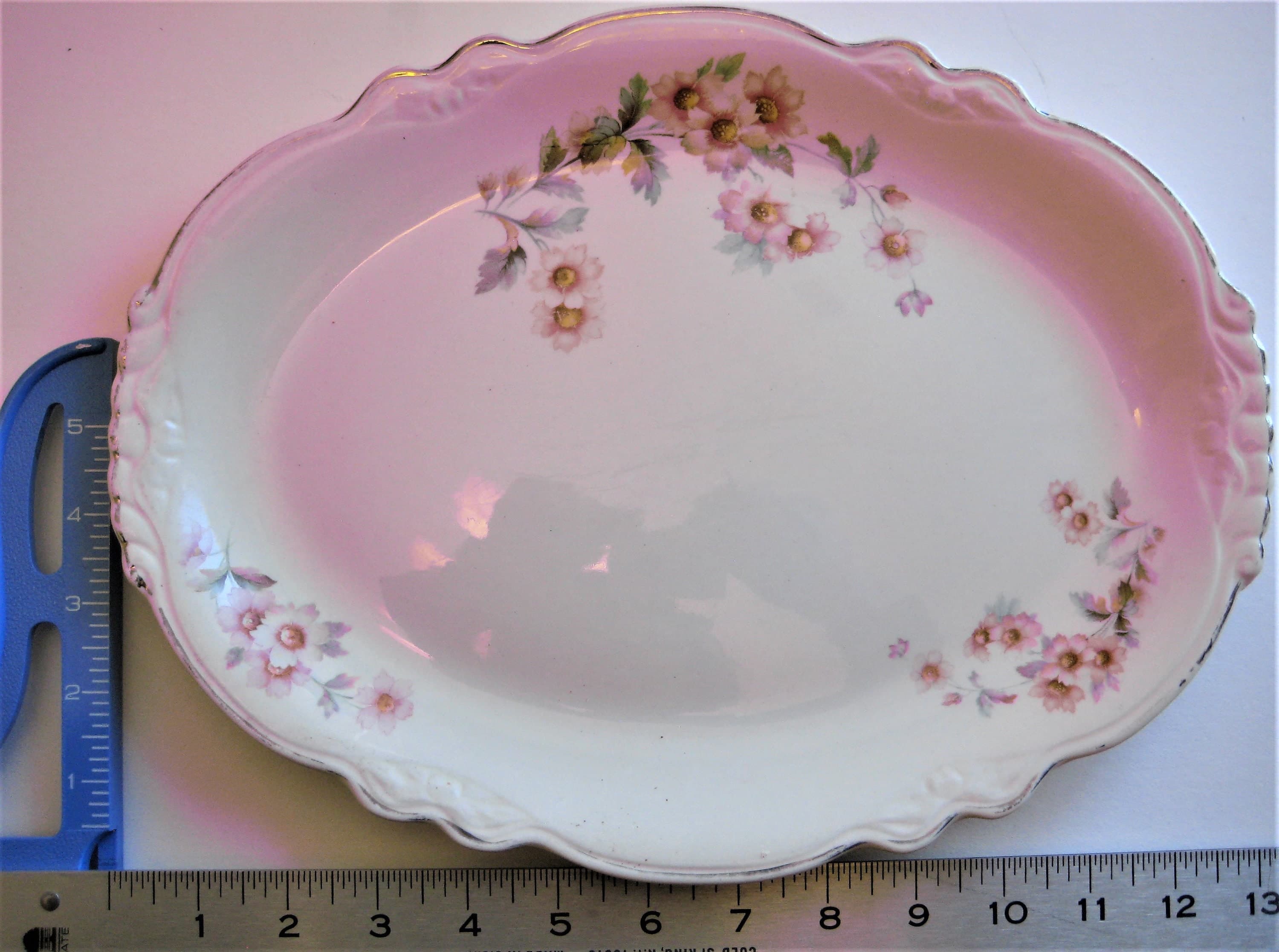 Vintage Homer Laughlin Platter, Virginia Rose Pattern, Platinum Trim - image 5