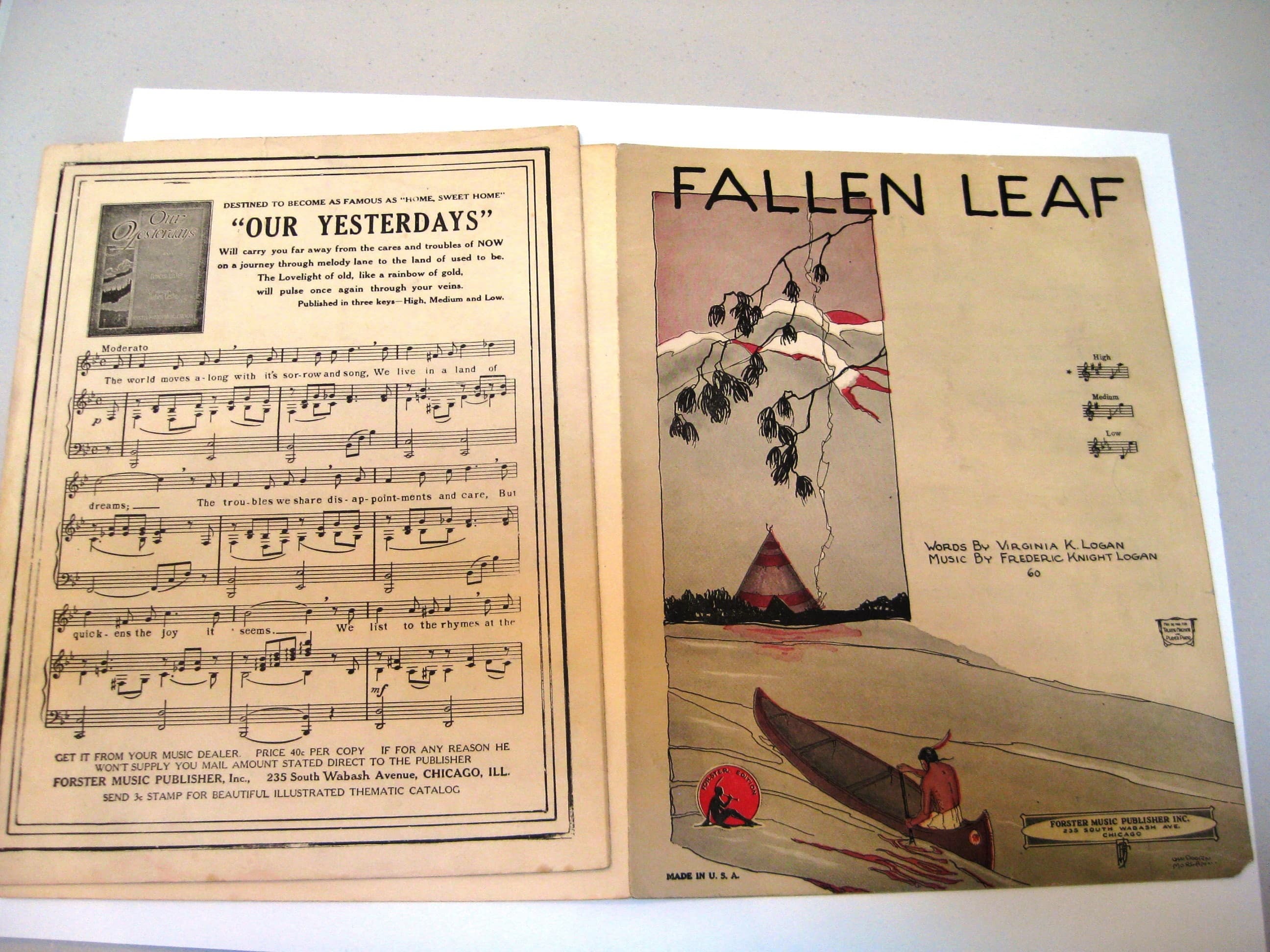 Vintage 'Fallen Leaf' Sheet Music, 1924, Matted Indian Art Print - image 4