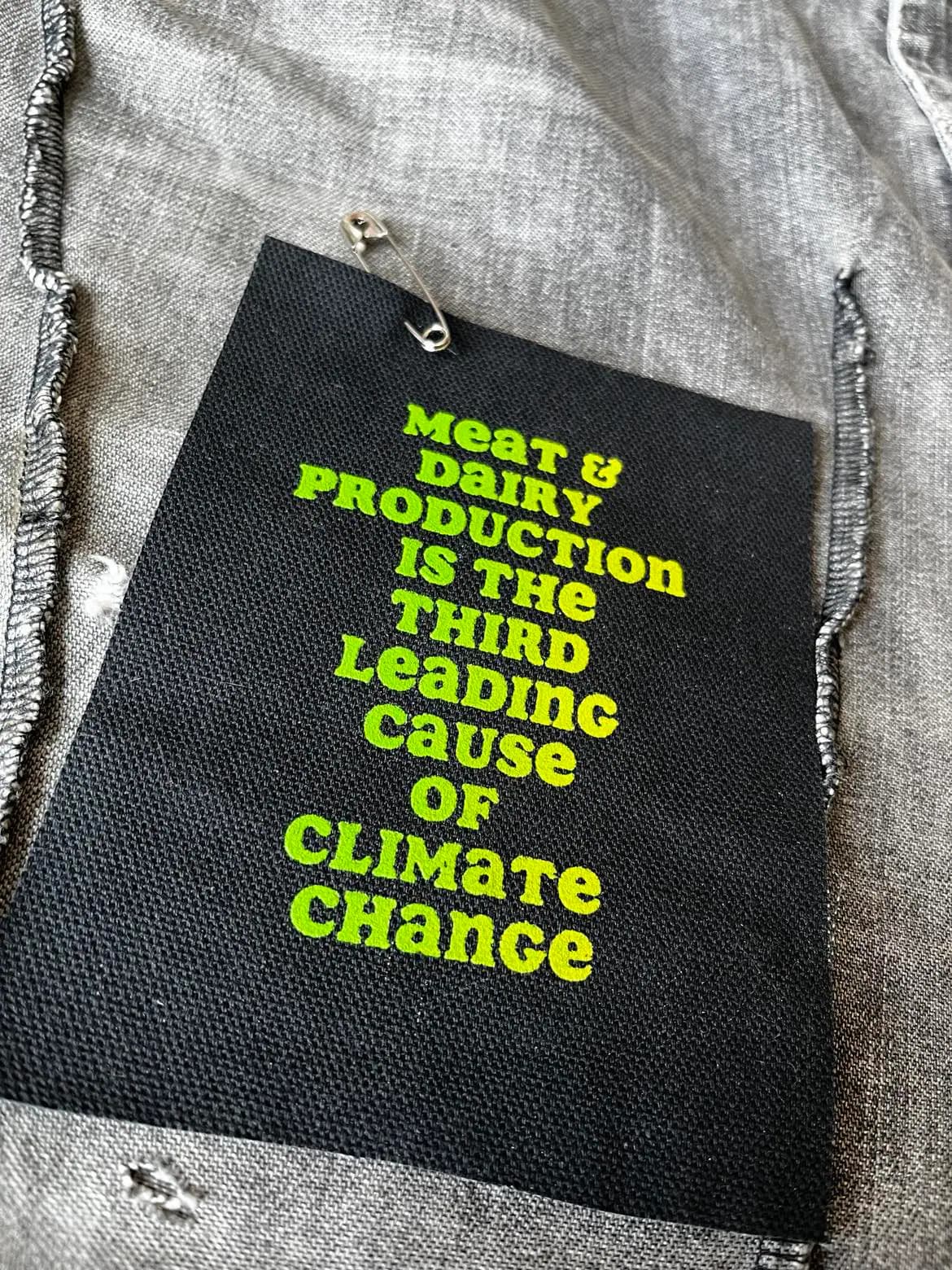 Peaceful Protest Patch: Spread Humanity and Peace through Recycling - image 2