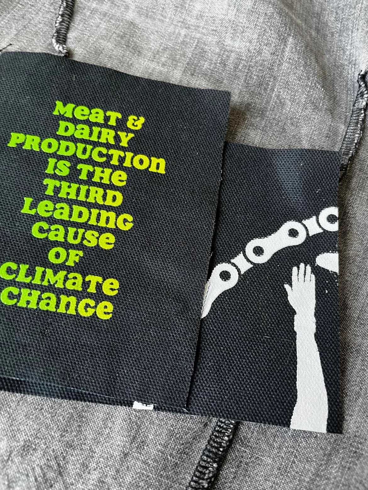 Peaceful Protest Patch: Spread Humanity and Peace through Recycling - image 3