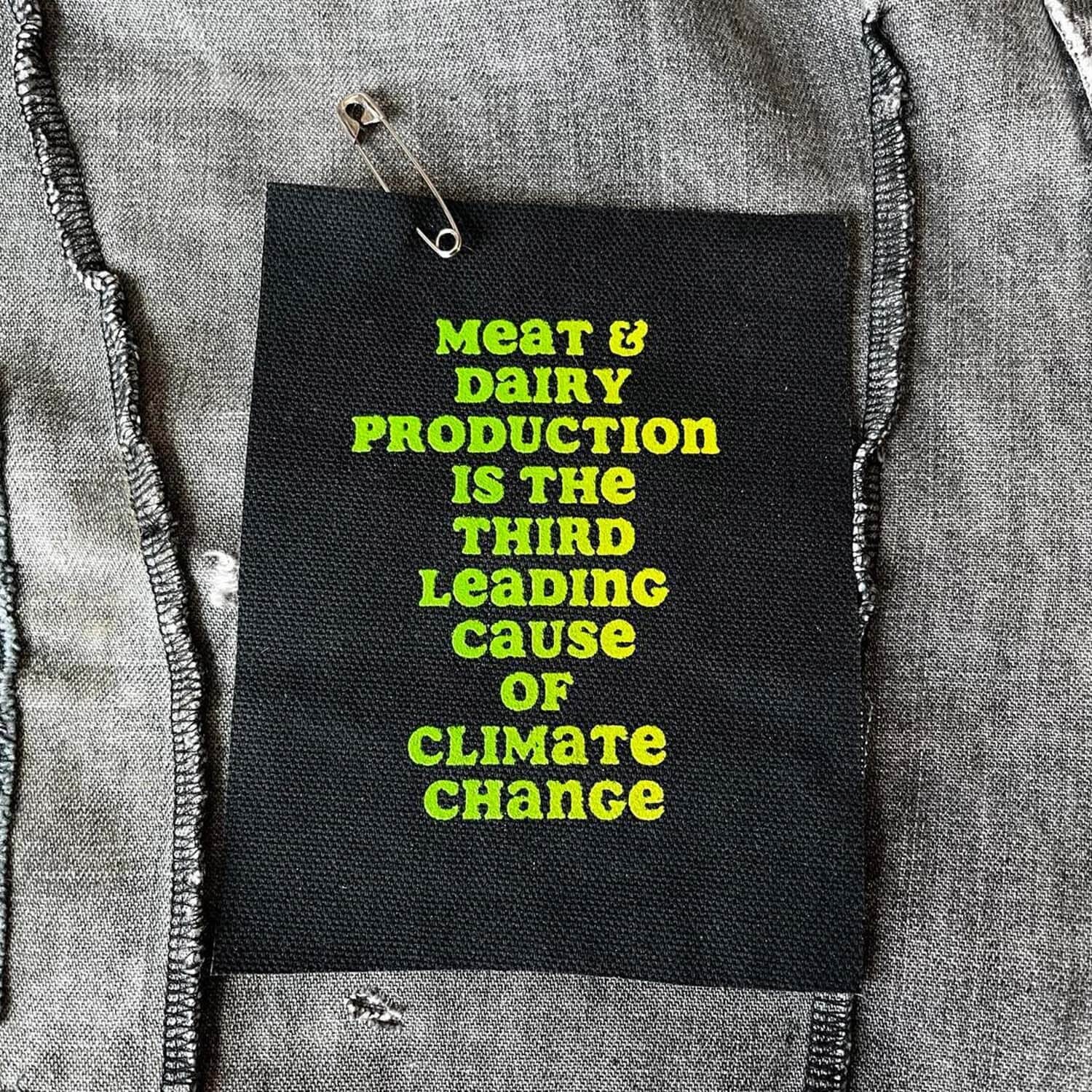 Peaceful Protest Patch: Spread Humanity and Peace through Recycling