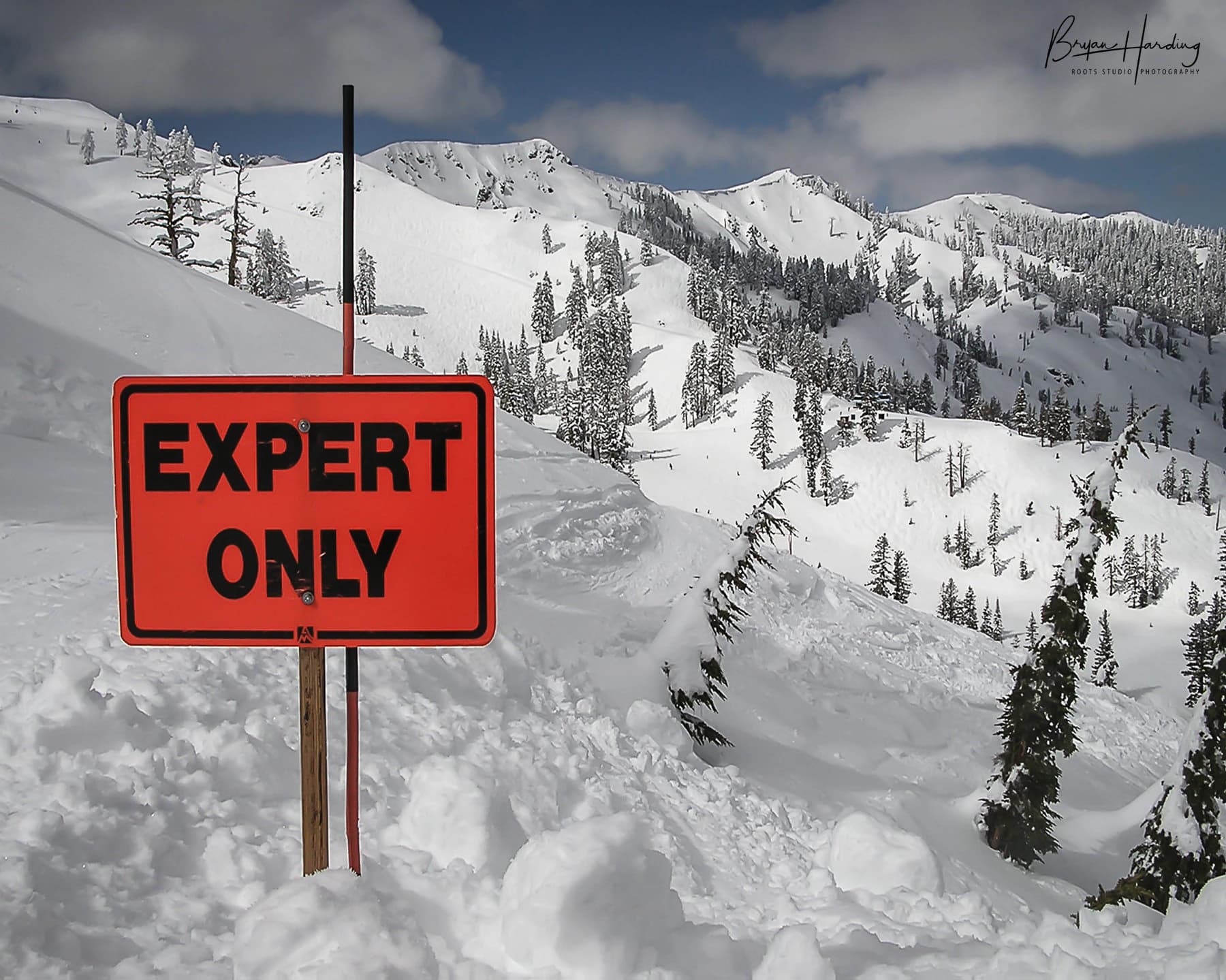 Lake Tahoe Skiing Photograph, Alpine Meadows Powder Day Art