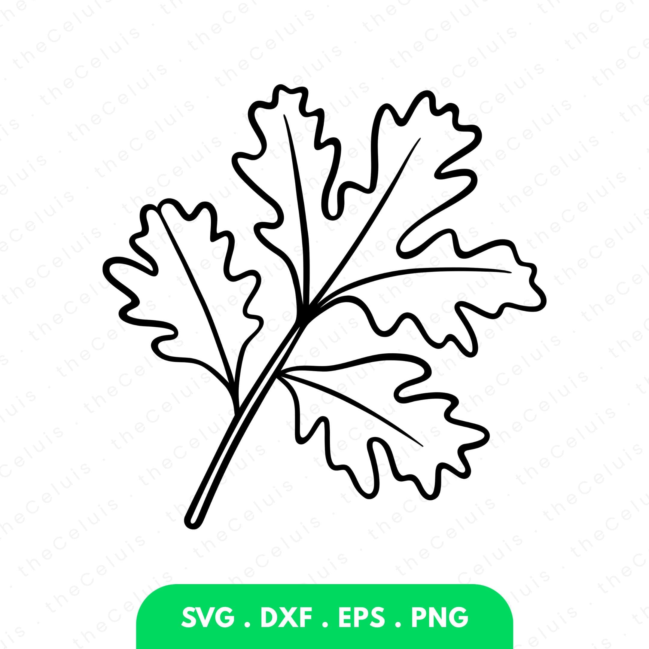 Coriander SVG DXF PNG File for Cricut Silhouette - Cutting, Engraving: Herbs Clipart