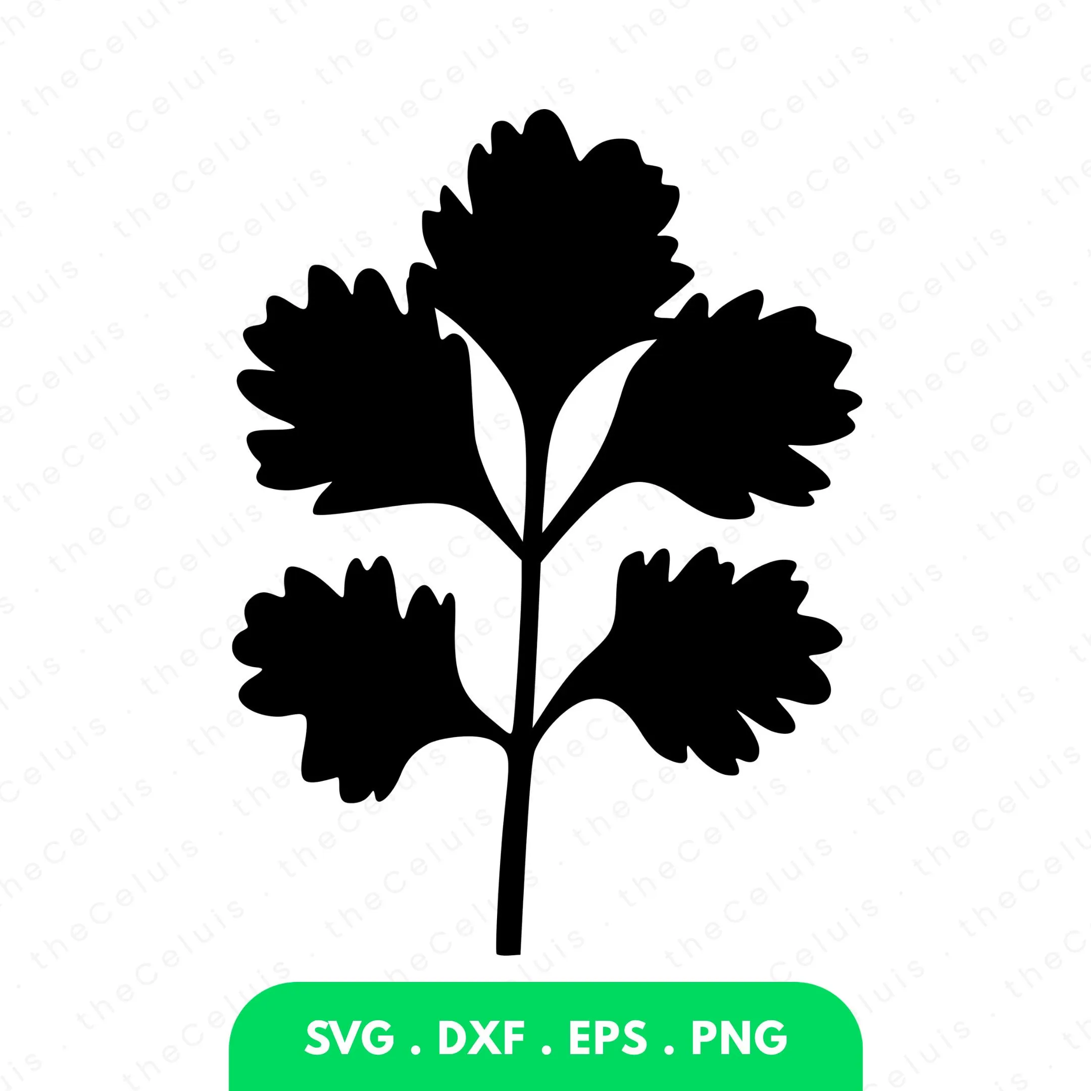 Coriander SVG DXF PNG File for Cricut Silhouette - Cutting, Engraving: Cilantro Herbs Clipart