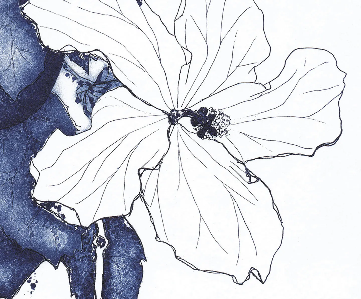 Botanic art, Hibiscus, flowers, branch, leaves, Blue. Etching, aqua forte, printmaking. 2 Art prints A4. 21x30 cm, Fine art quality paper - image 5