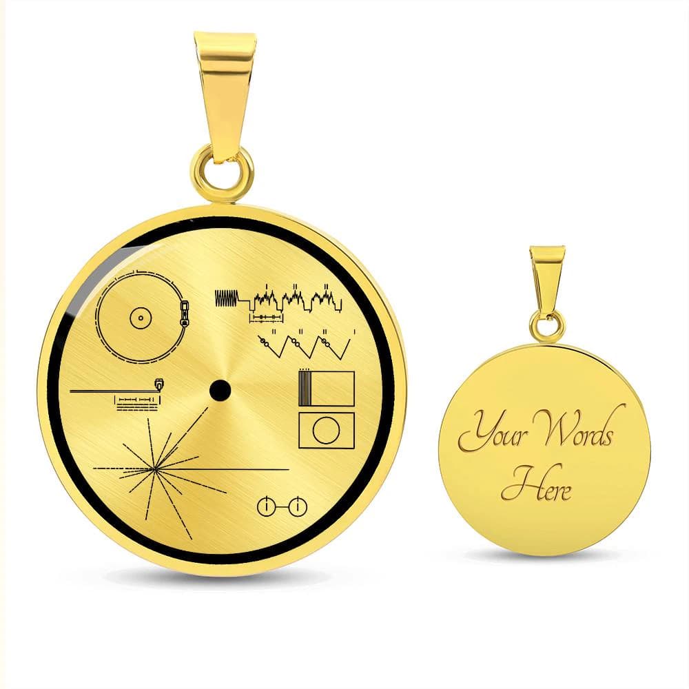 Voyager Golden Record Pendant, Space Science Jewelry, Carl Sagan Necklace, Astronomy Medallion, Universe Message Charm, Science Gift - image 3