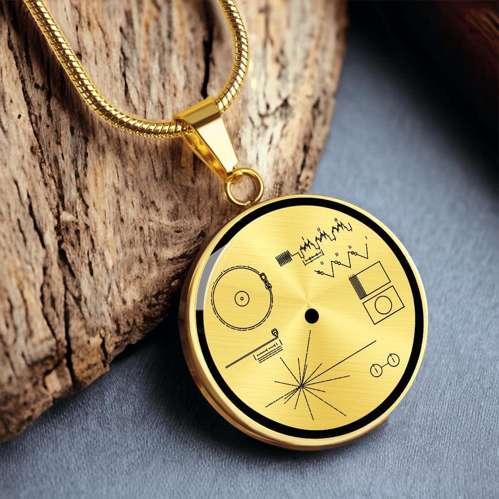 Voyager Golden Record Pendant, Space Science Jewelry, Carl Sagan Necklace, Astronomy Medallion, Universe Message Charm, Science Gift