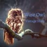 WiseOwlVintageShop