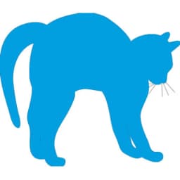 BlueCatStudioShop