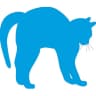 BlueCatStudioShop
