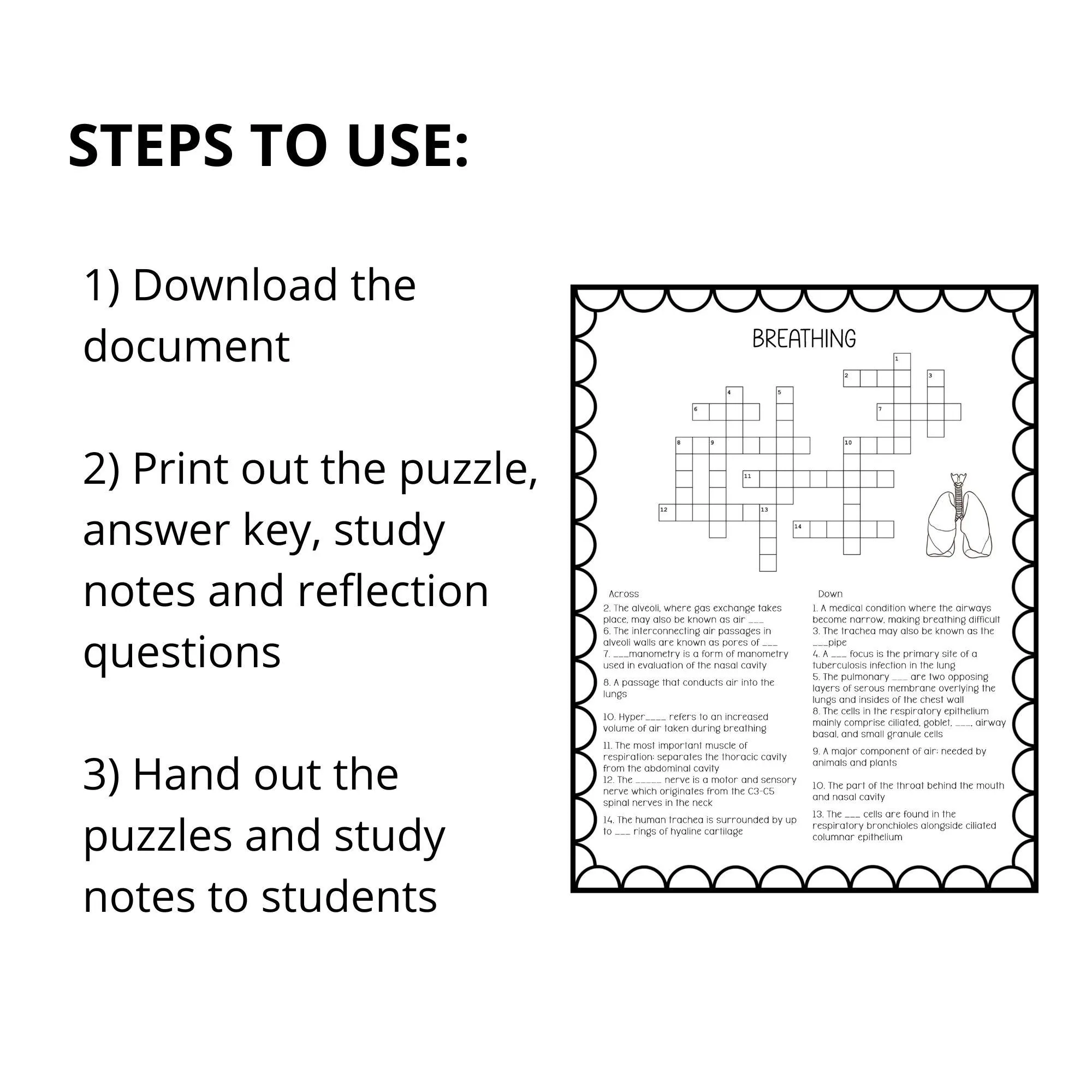 Breathing Crossword Puzzle, Printable Biology Bell Ringer Worksheets, Science Sub Tub Activities - image 4