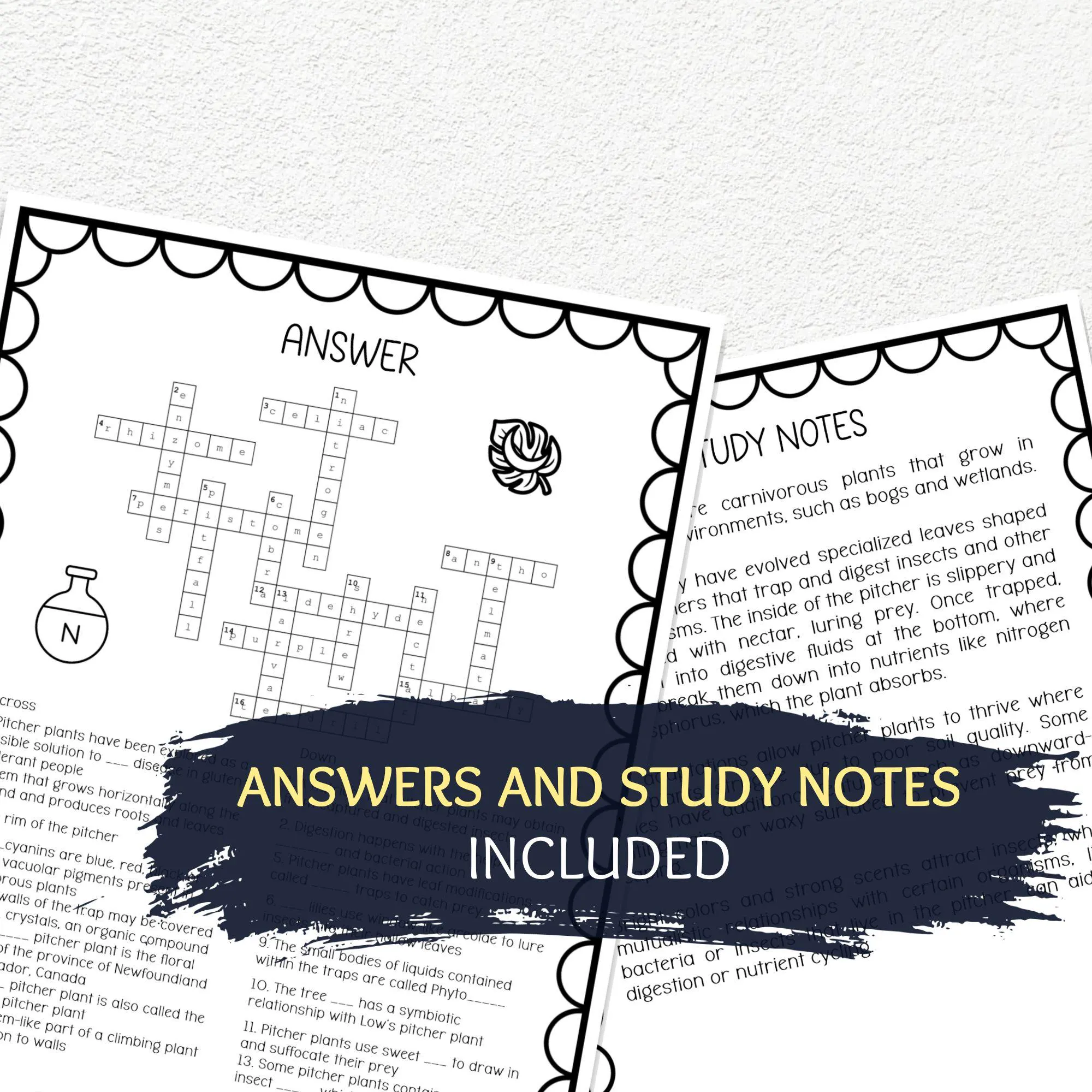 Pitcher Plants Crossword Puzzle, Printable Science Adaptations Bell Ringer, Biology Lesson - image 4