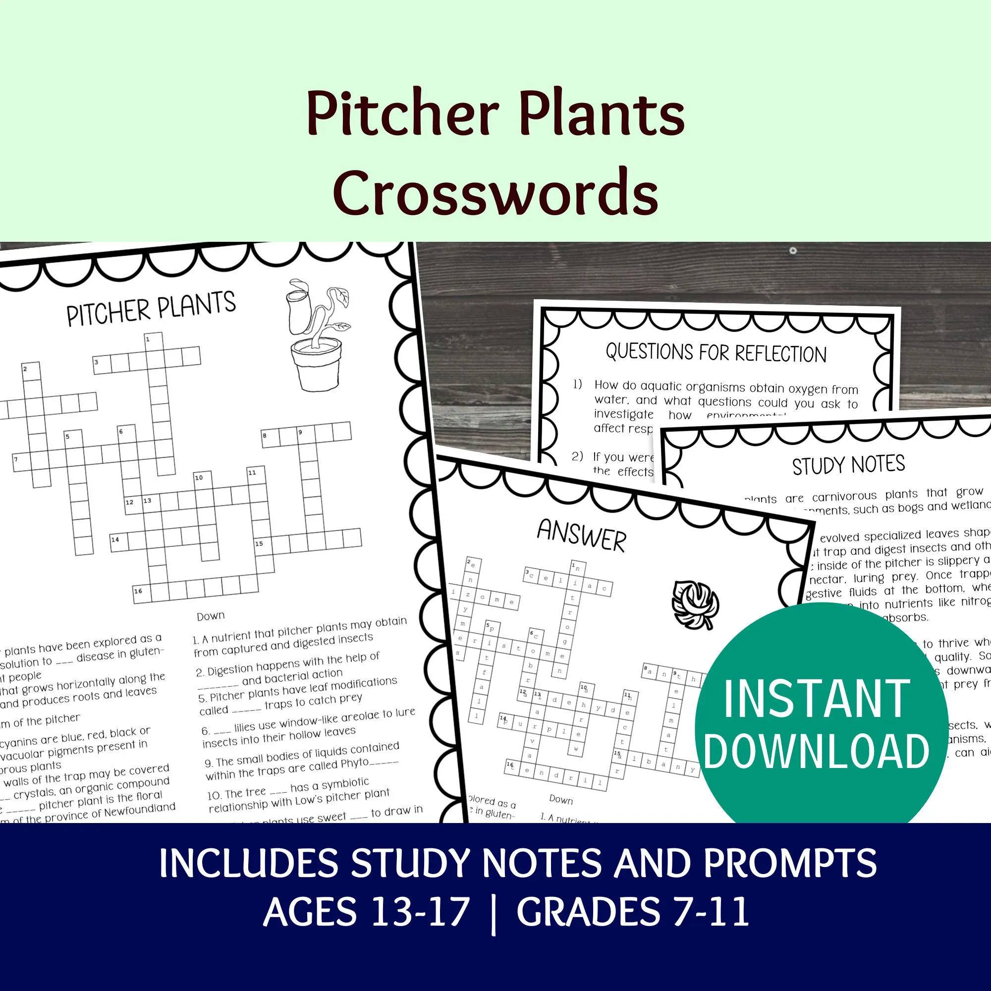 Pitcher Plants Crossword Puzzle, Printable Science Adaptations Bell Ringer, Biology Lesson