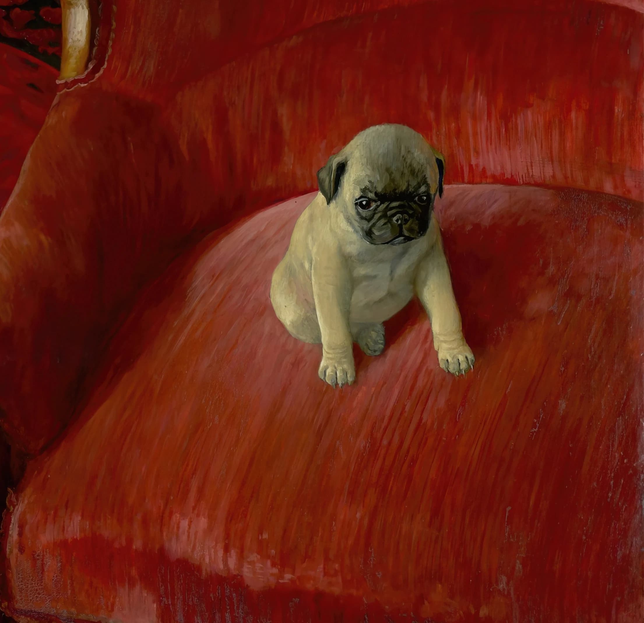 Vintage Animal Portrait Painting | Antique Dog on Red Chair Artwork | Classic Pug Poster | 19th Century Art Print | PRINTABLE art - image 5