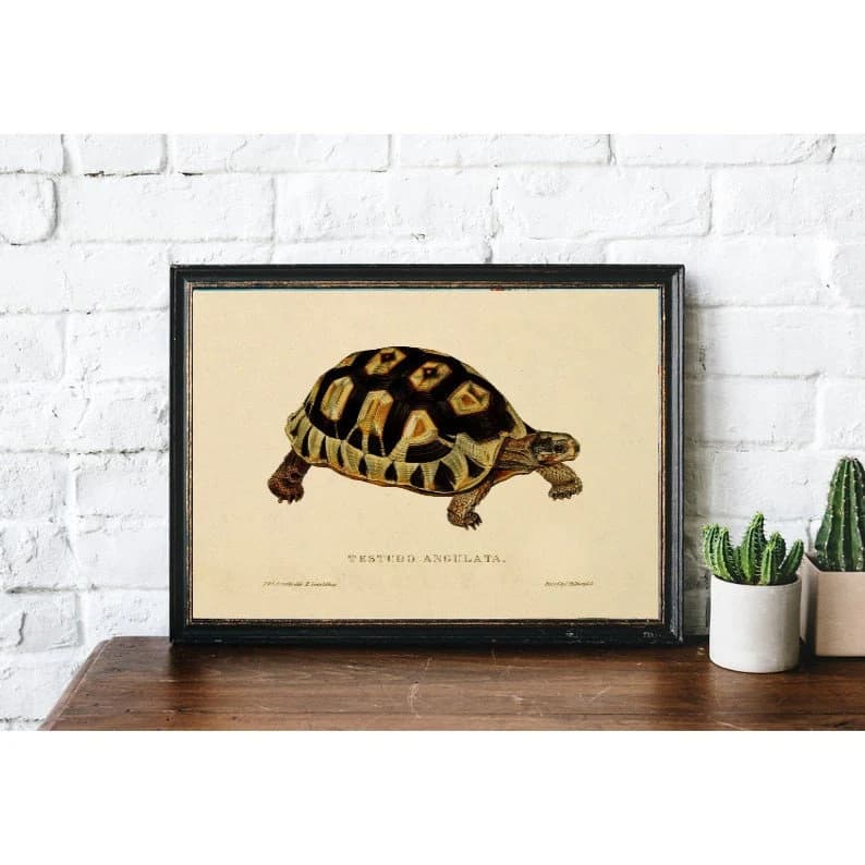Vintage Turtle Painting | Antique Oil Tortoise Painting | Reptile Painting | Wild Animal Art Print | PRINTABLE art - image 4