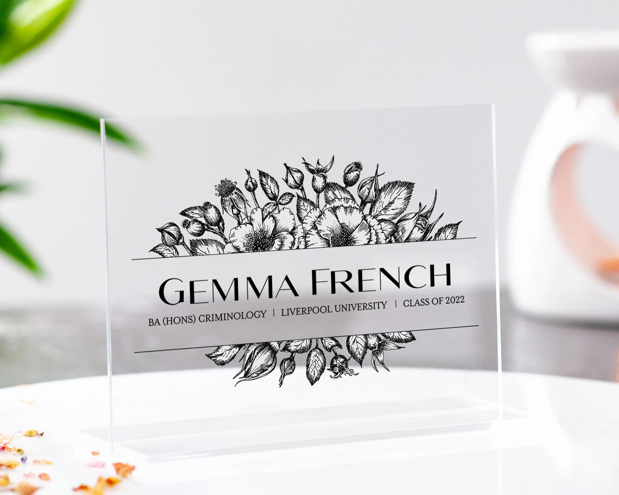 Graduation Gift | Graduation Plaque | Graduation Gift | Graduation Gift for Daughter | Graduation Gift for Son | College Graduation - image 3