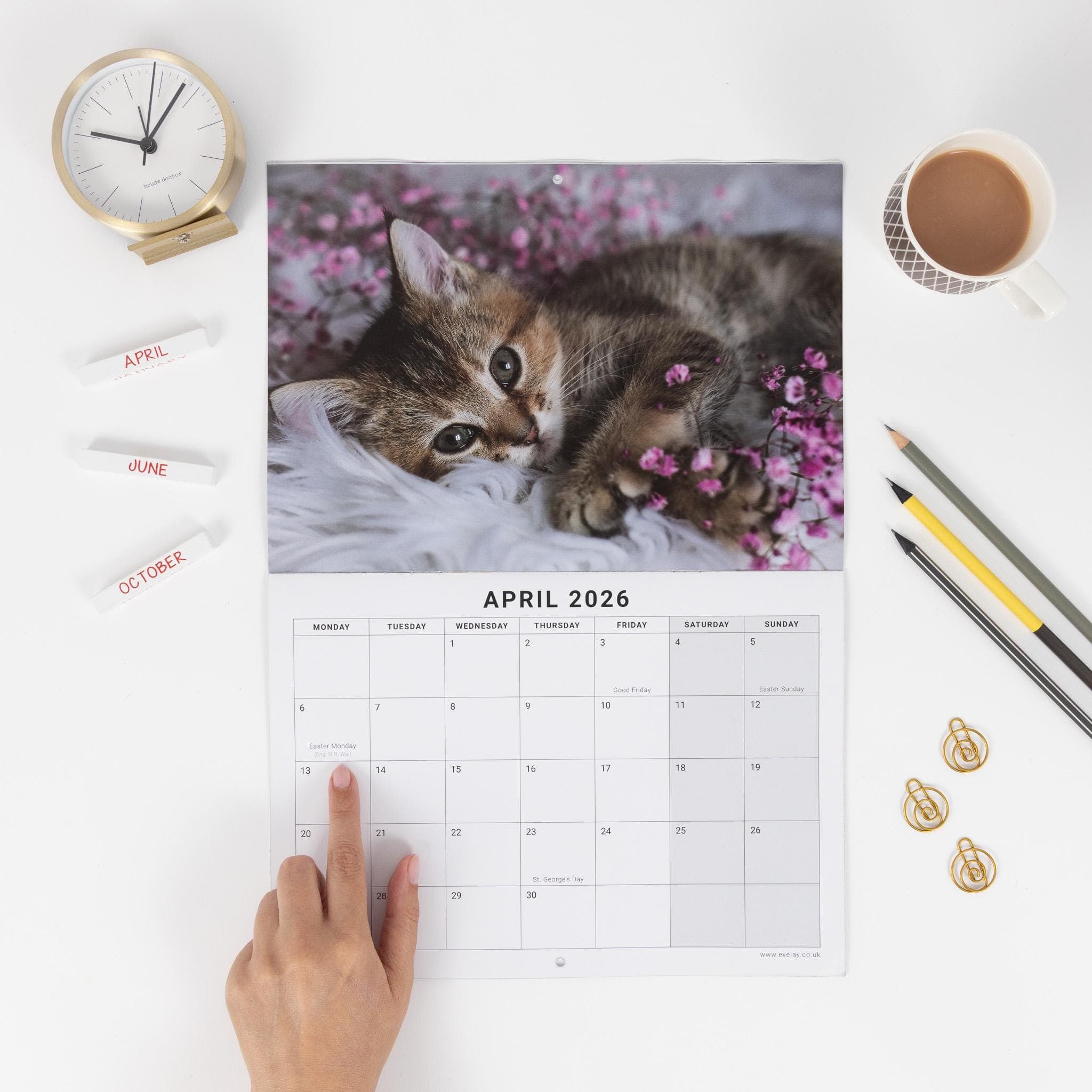 2026 Kittens Wall Calendar: Monthly Planner with Note Space - image 3
