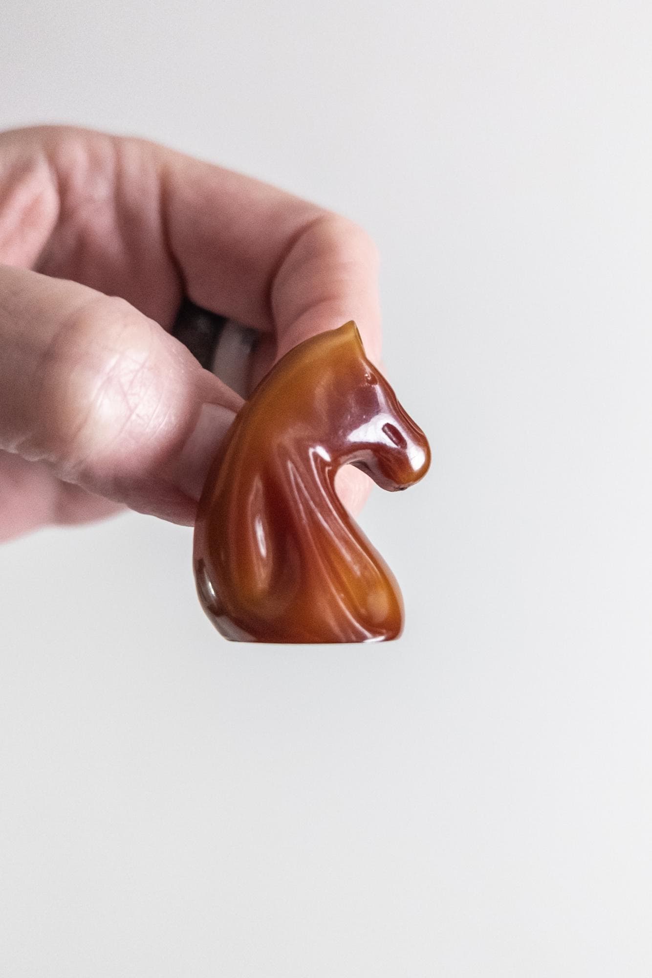 vintage bakelite carved horse pin/brooch – butterscotch - image 5