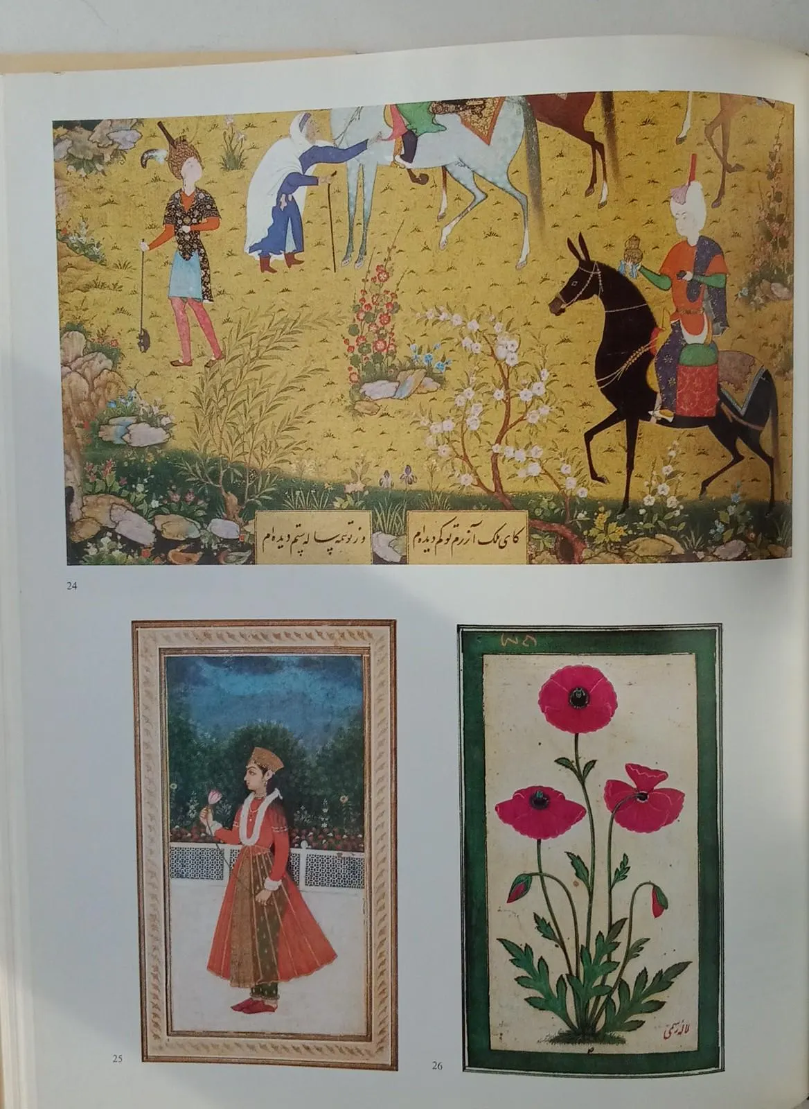 Flowers in Art Book: East and West, British Museum - image 5