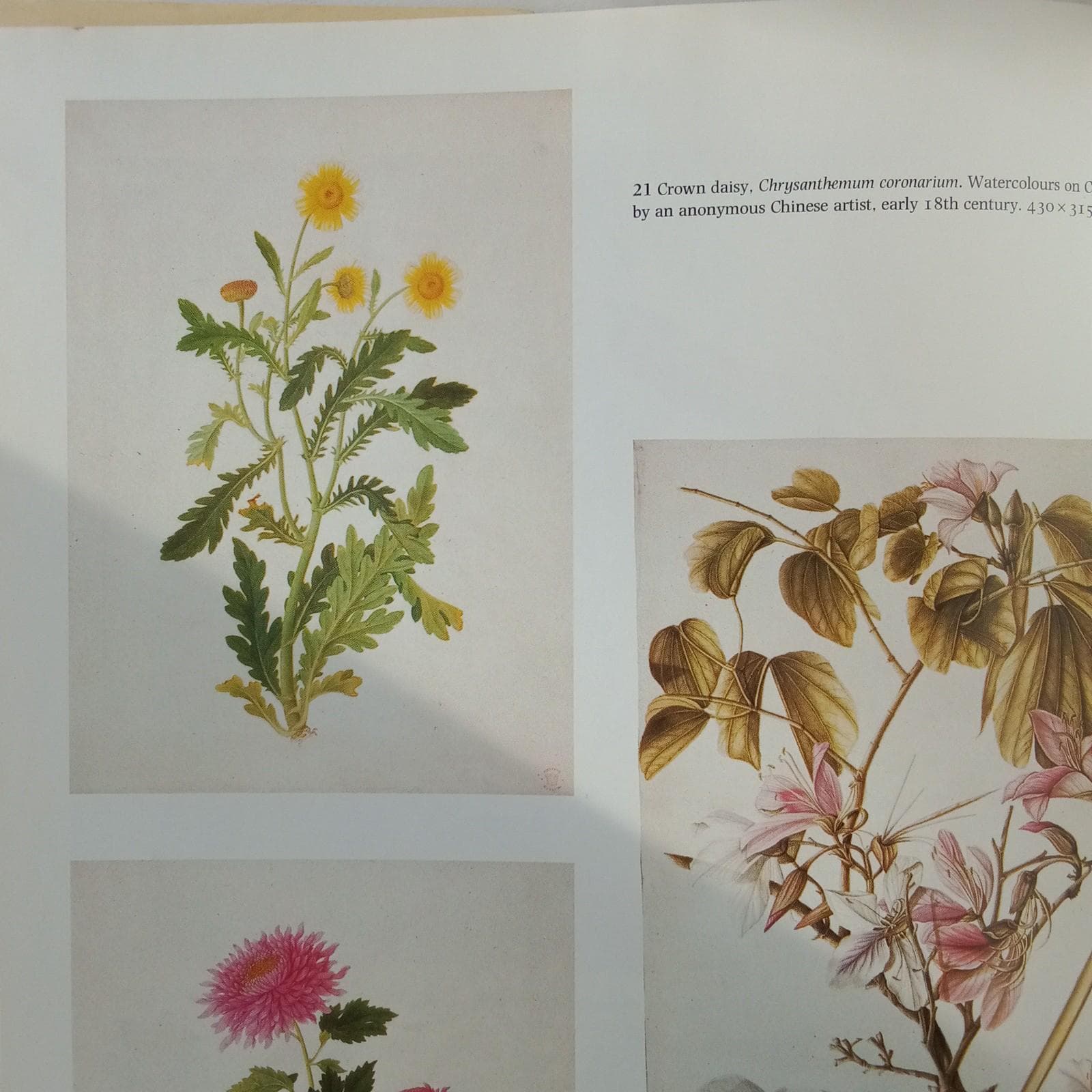 Flowers in Art Book: East and West, British Museum - image 4