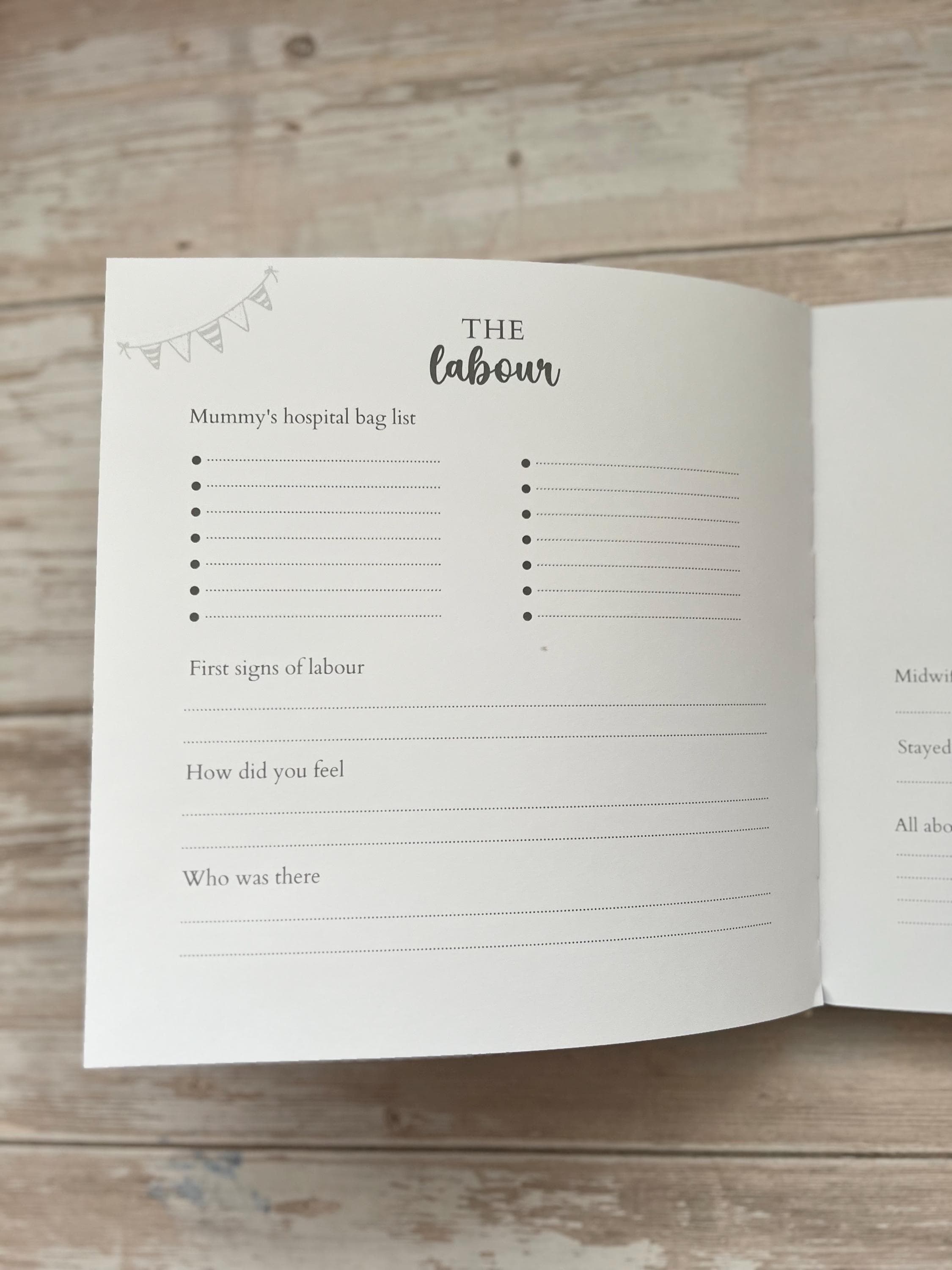 Twin Baby Book | Twin Baby Record Book | Twin Baby Journal | Twin Memory Book | Bump To Birth Journal | Twin Baby Gift | Twins First Year - image 5