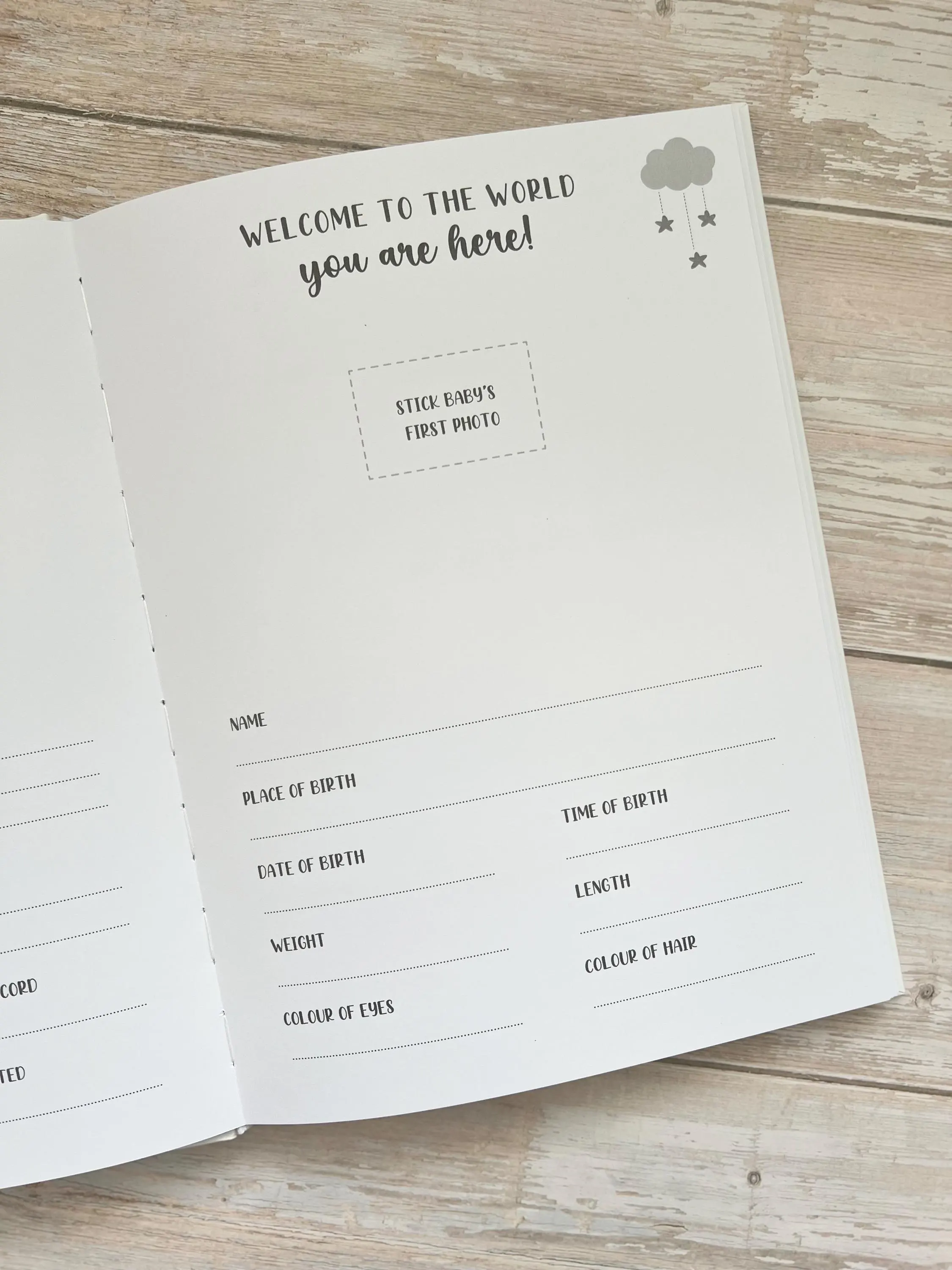 Baby Record Book | Bump To Baby Album In Pink | Personalised 1st Years Memory Book | New Baby Girl Gift | Bump To Birthday Book | New Baby - image 5
