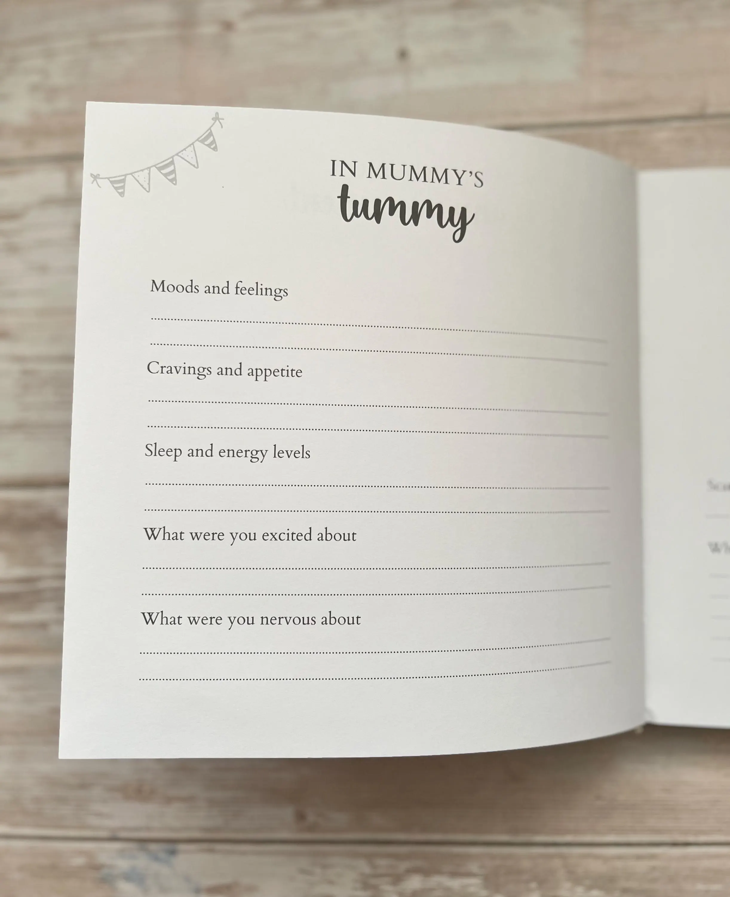 Twin Baby Book | Twin Baby Record Book | Twin Baby Journal | Twin Memory Book | Bump To Birth Journal | Twin Baby Gift | Twins First Year - image 4