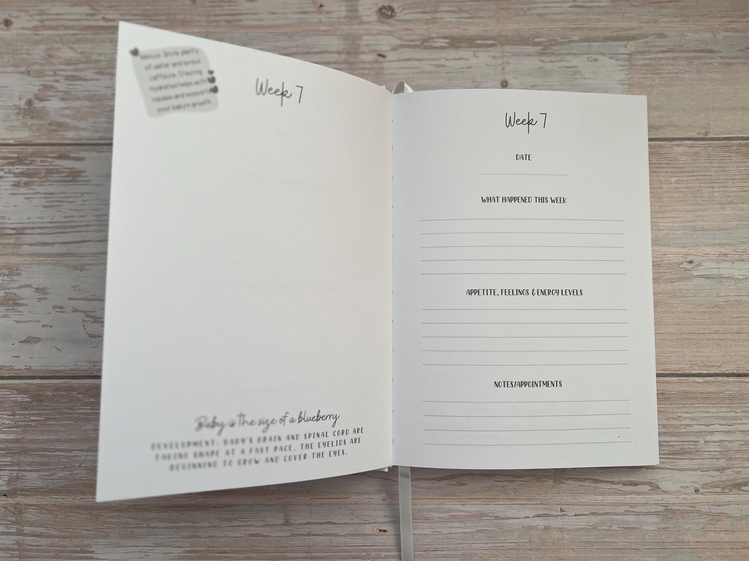 Pregnancy Journal | Bump To Baby Book | 9 Months Journal | White & Gold Mother To Be Journal | Week By Week Pregnancy Diary - image 5