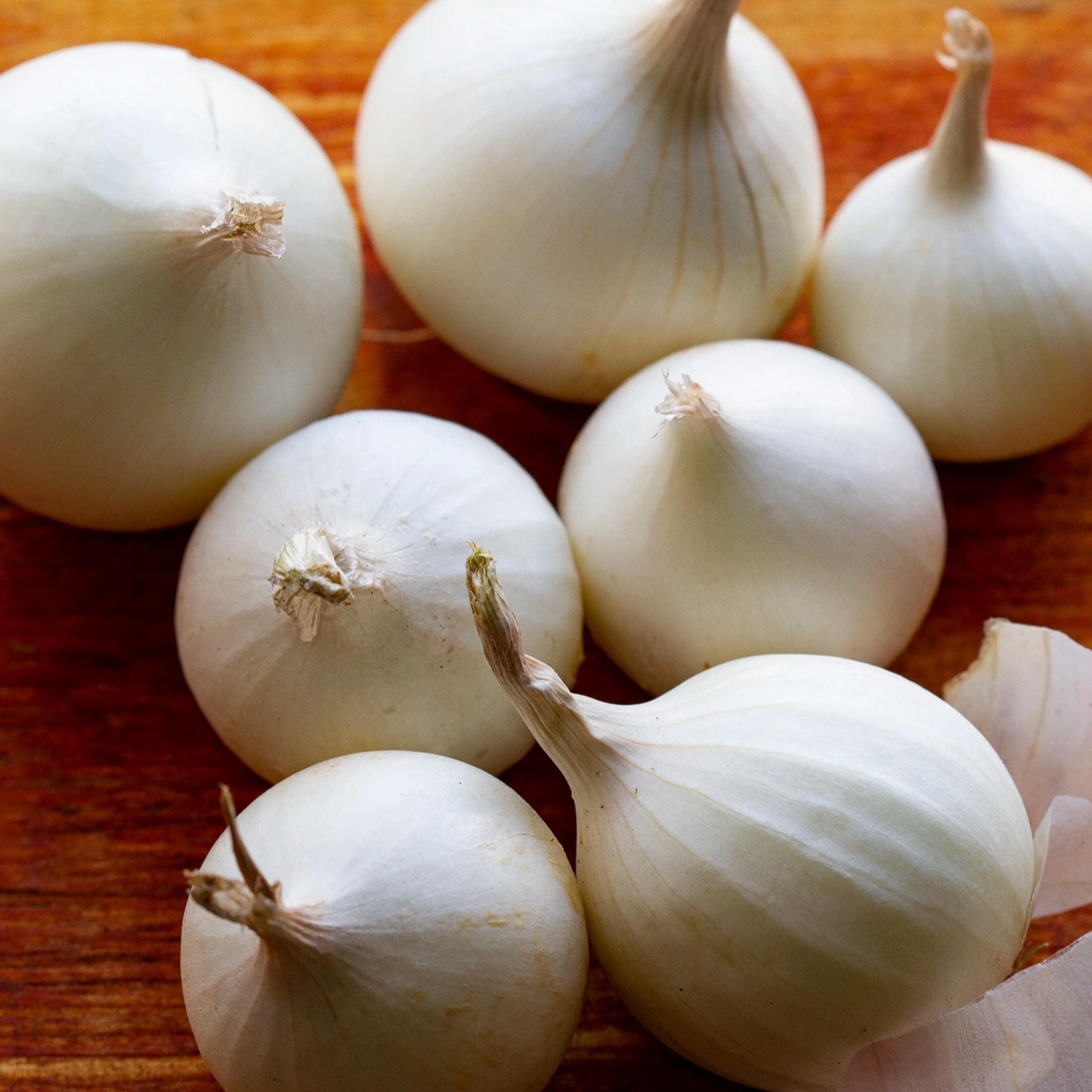 White Sweet Spanish Onion Seeds - Organic & Non Gmo Onion Seeds - Heirloom Seeds - Fresh USA Grown Seeds - Grow Your Own Food At Home!