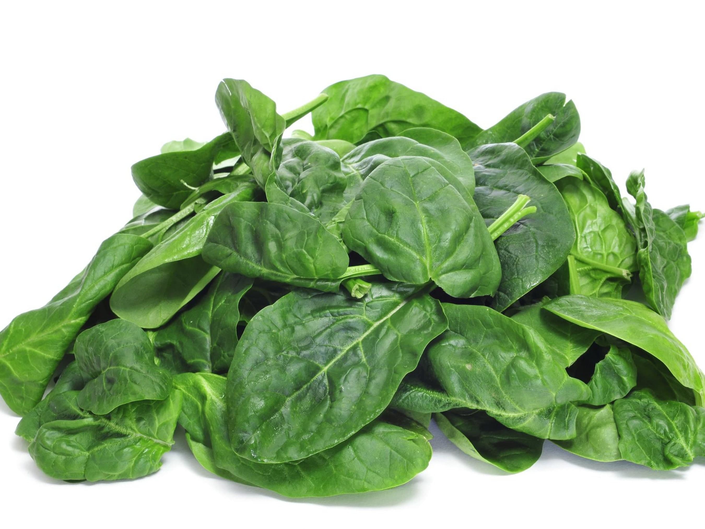 Giant Noble Spinach Seeds - Organic & Non GMO - Grow Your Own Giant Spinach At Home!