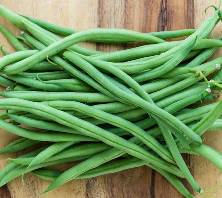 Top Crop Green Bean Seeds – Bush Bean Seeds - Organic & Non Gmo Beans - Heirloom Seeds - Fresh USA Grown Seeds - Grow Your Own Beans At Home