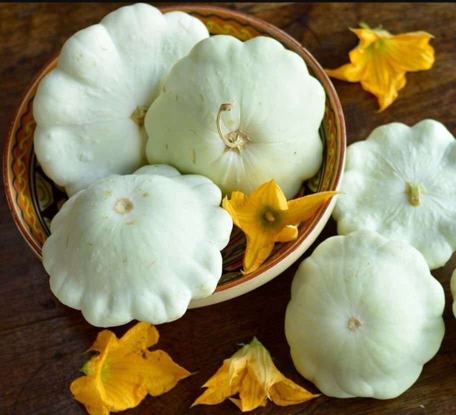 White Scallop Squash Seeds - Patty Pan Seeds - Organic & Non Gmo - Heirloom Seeds - Fresh USA Grown Seeds - Grow Your Own Food At Home!