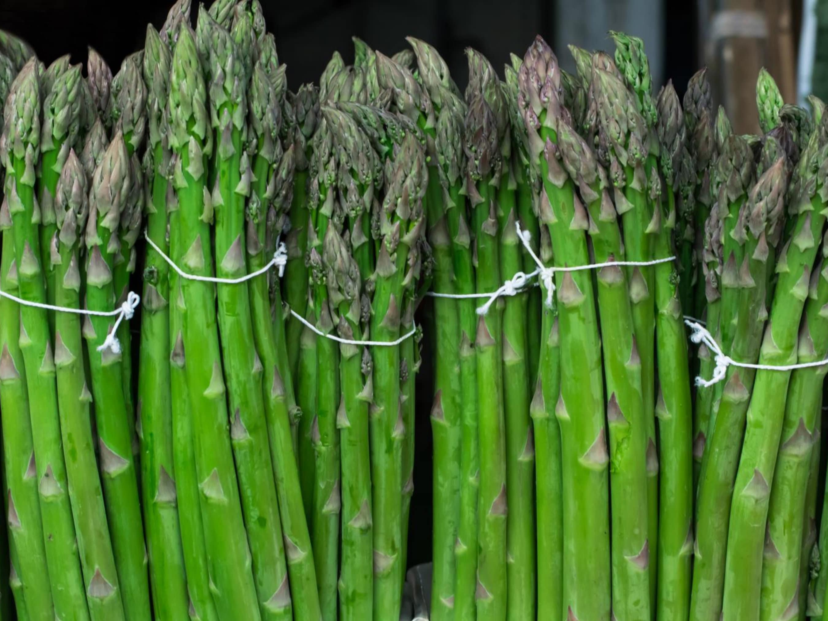 Asparagus Seeds- Organic & Non GMO- Heirloom Vegetable Seeds - Mary Washington Variety - Grow Your Own Food At Home