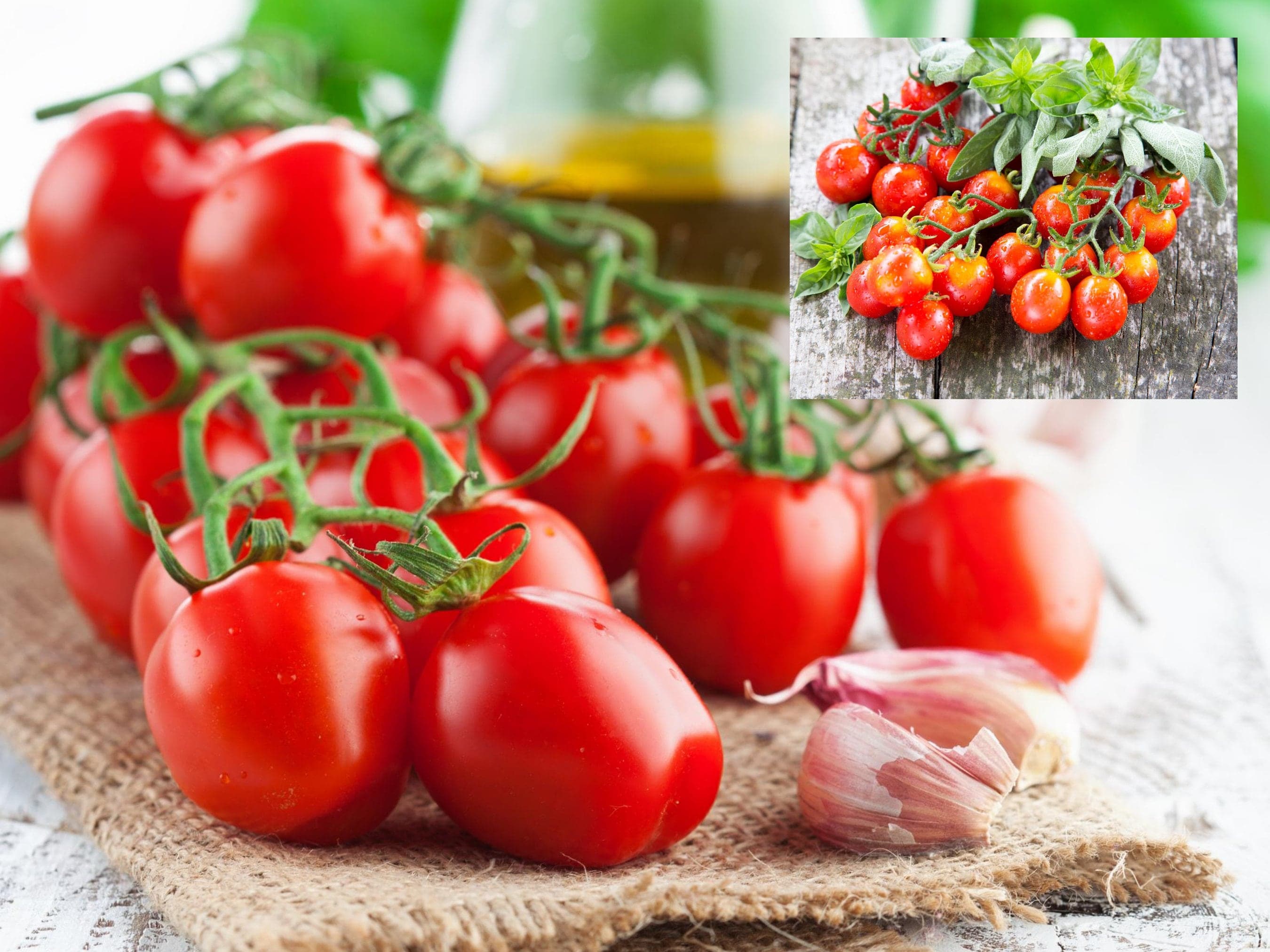 Cherry Tomato Seeds - Organic & Non Gmo Tomato Seeds - Heirloom Seeds - Fresh USA Grown Seeds - Grow Your Own Fresh Cherry Tomatoes At Home!
