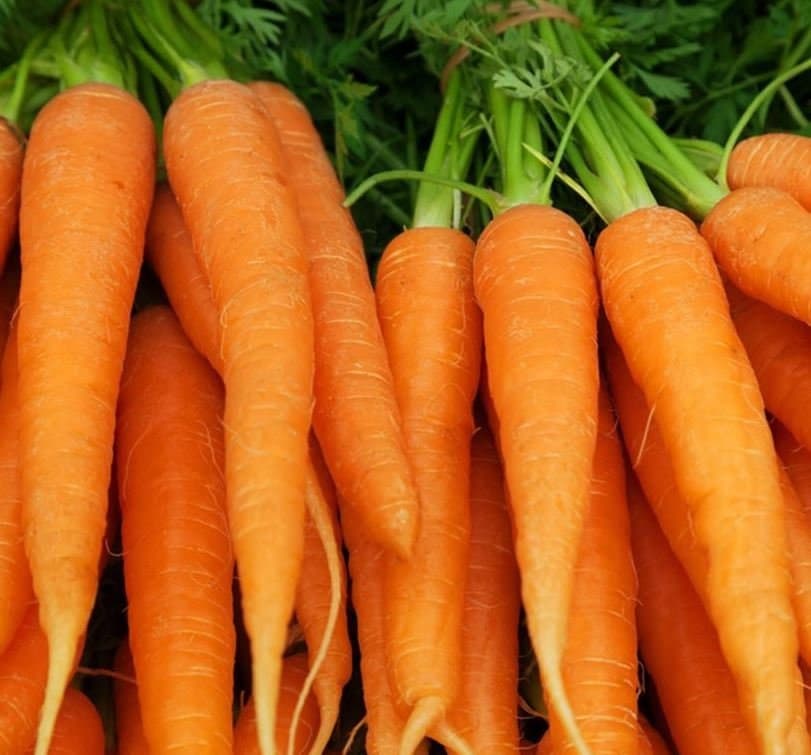 Imperator Carrots Seeds - Great For Juicing - Organic & Non Gmo Carrot Seeds - Heirloom Seeds – Vegetable Seeds - USA Garden Seeds