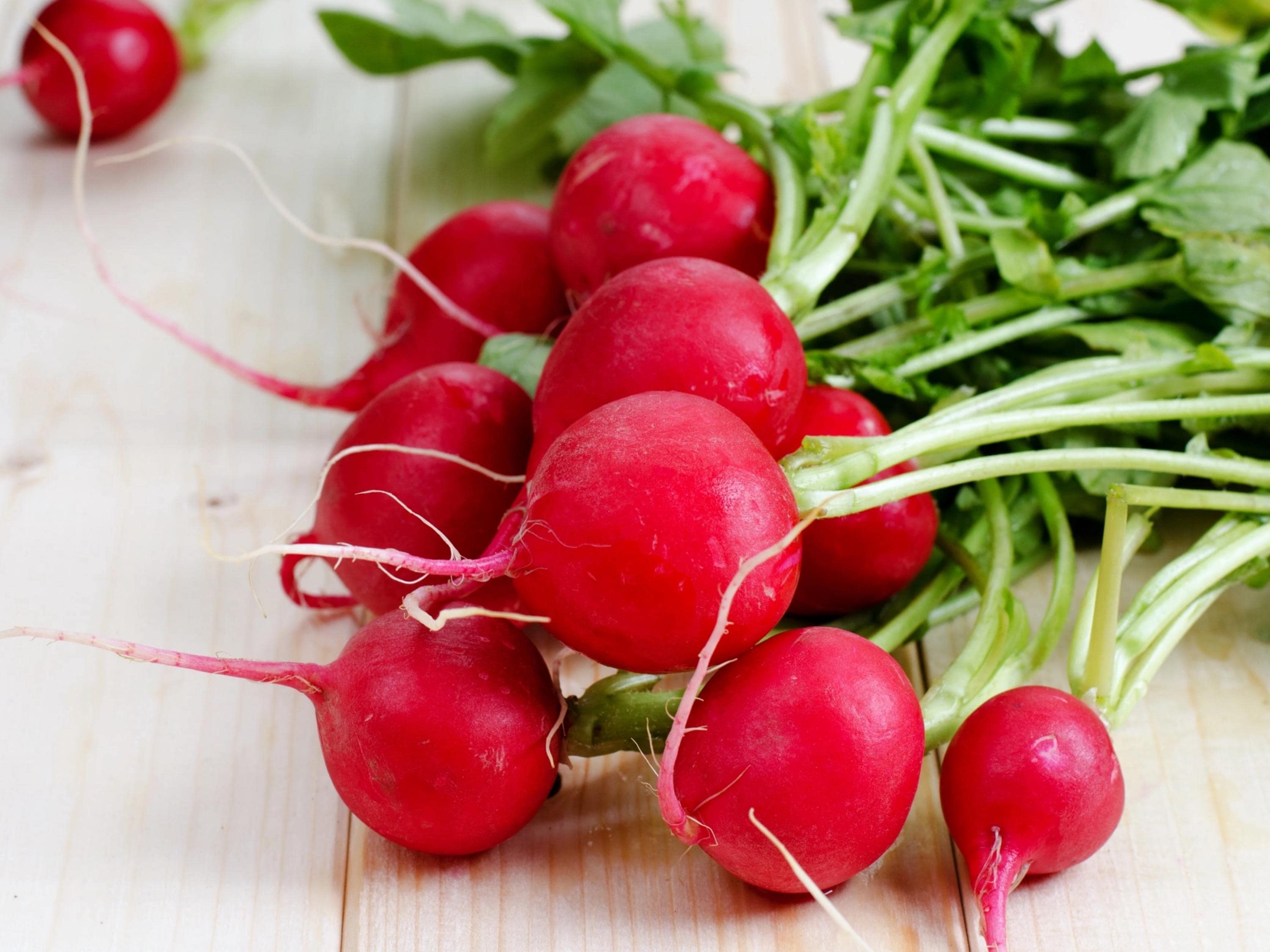 Champion Radish Seeds - Organic & Non Gmo Radish Seeds - Heirloom Radish Seeds - Fresh USA Grown Seeds - Grow Your Own Radish At Home!