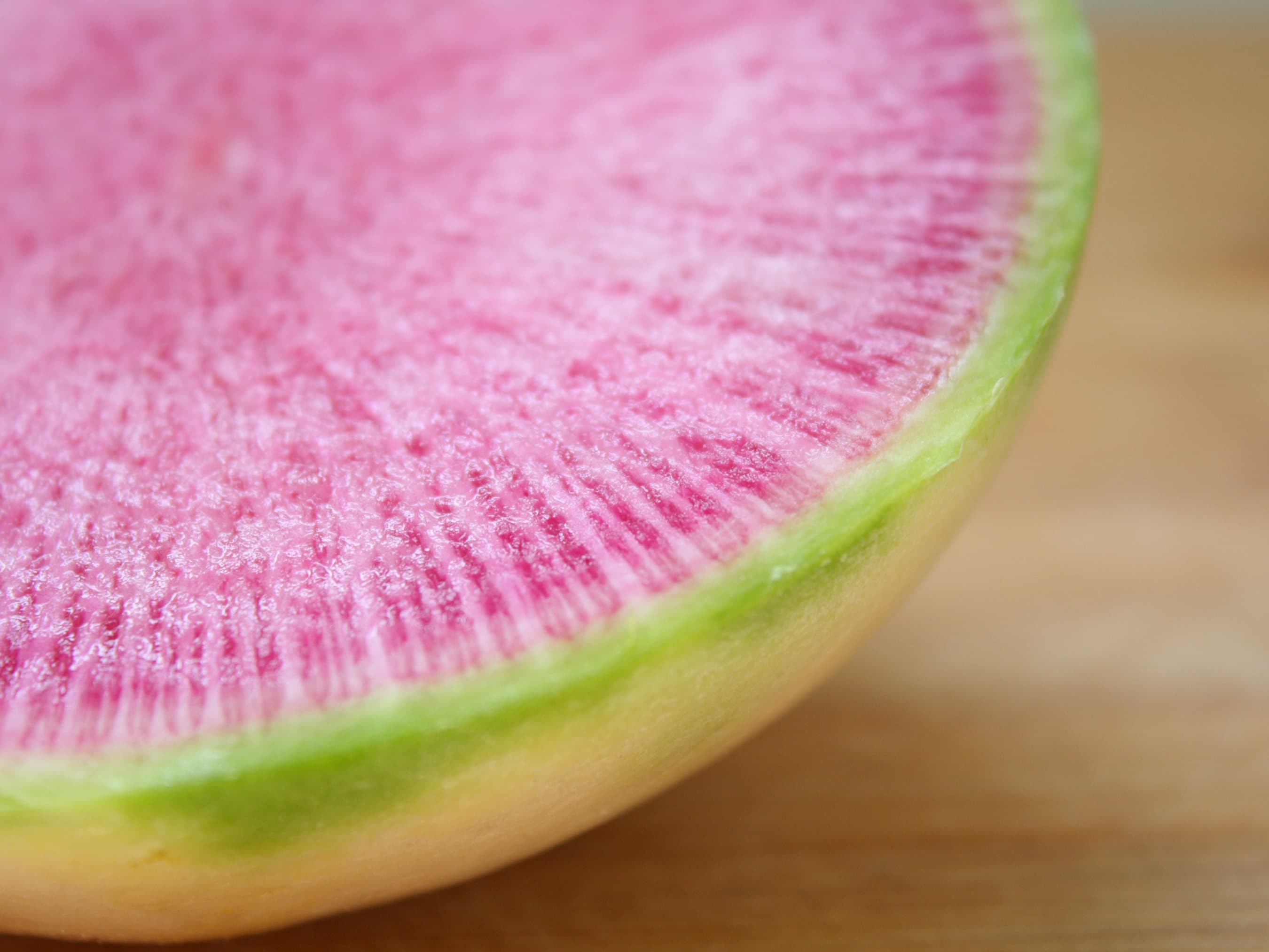 Watermelon Radish Seeds - Organic & Non Gmo Radish Seeds - Heirloom Seeds - Fresh USA Grown Seeds - Grow Your Own Radish At Home!