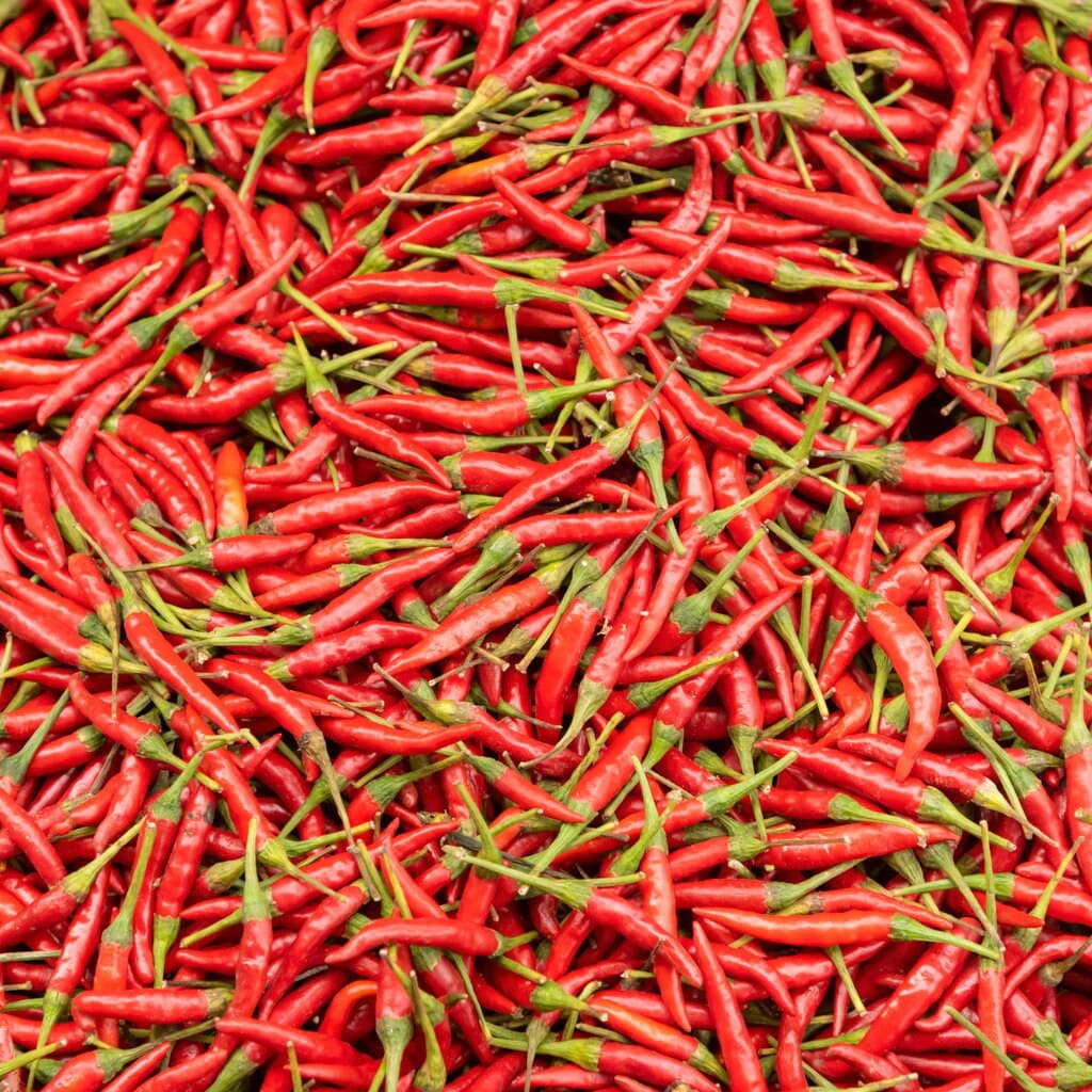 Cayenne Pepper Seeds - Organic & Non Gmo Pepper Seeds - Heirloom Seeds - Fresh USA Grown Seeds - image 5